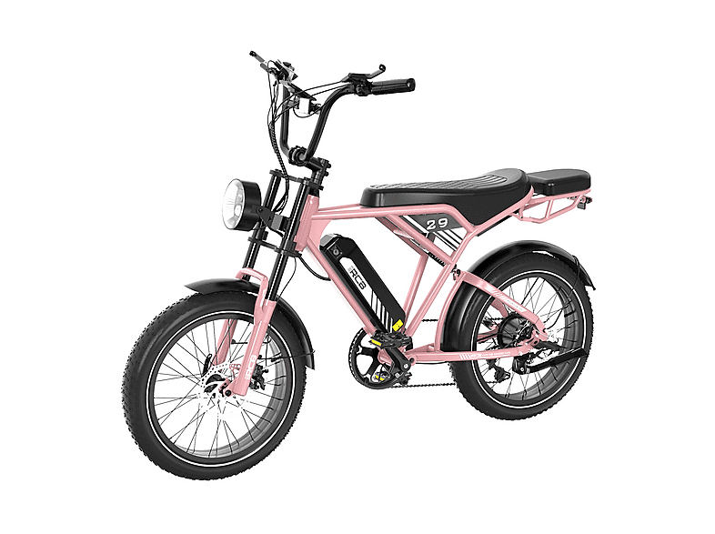 RCB RK29 E Bike, E-Mountainbike, 250W, 48V/15Ah, 7 Gänge, Reichweite 45-90 km Elektrofahrrad Mountainbike (Laufradgröße: 20 Zoll, Unisex-Rad, 624wh, Schwarz, Silber, Rosa)