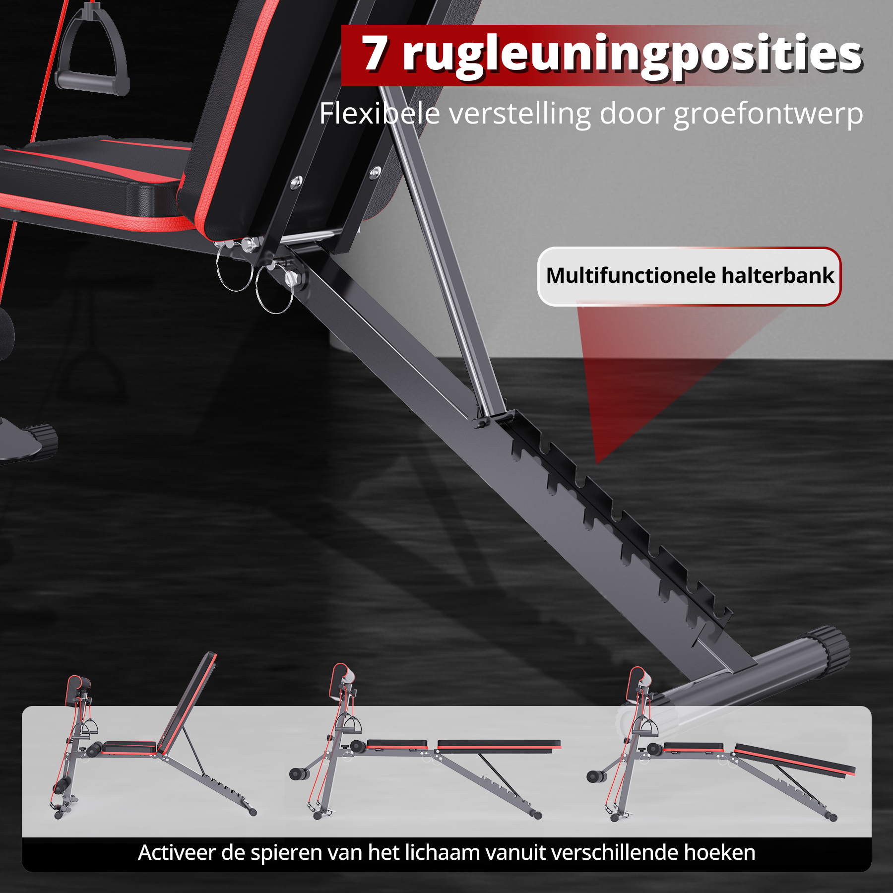 An exercise bench showing various positions, with arrows pointing to the different angles for muscle activation.
