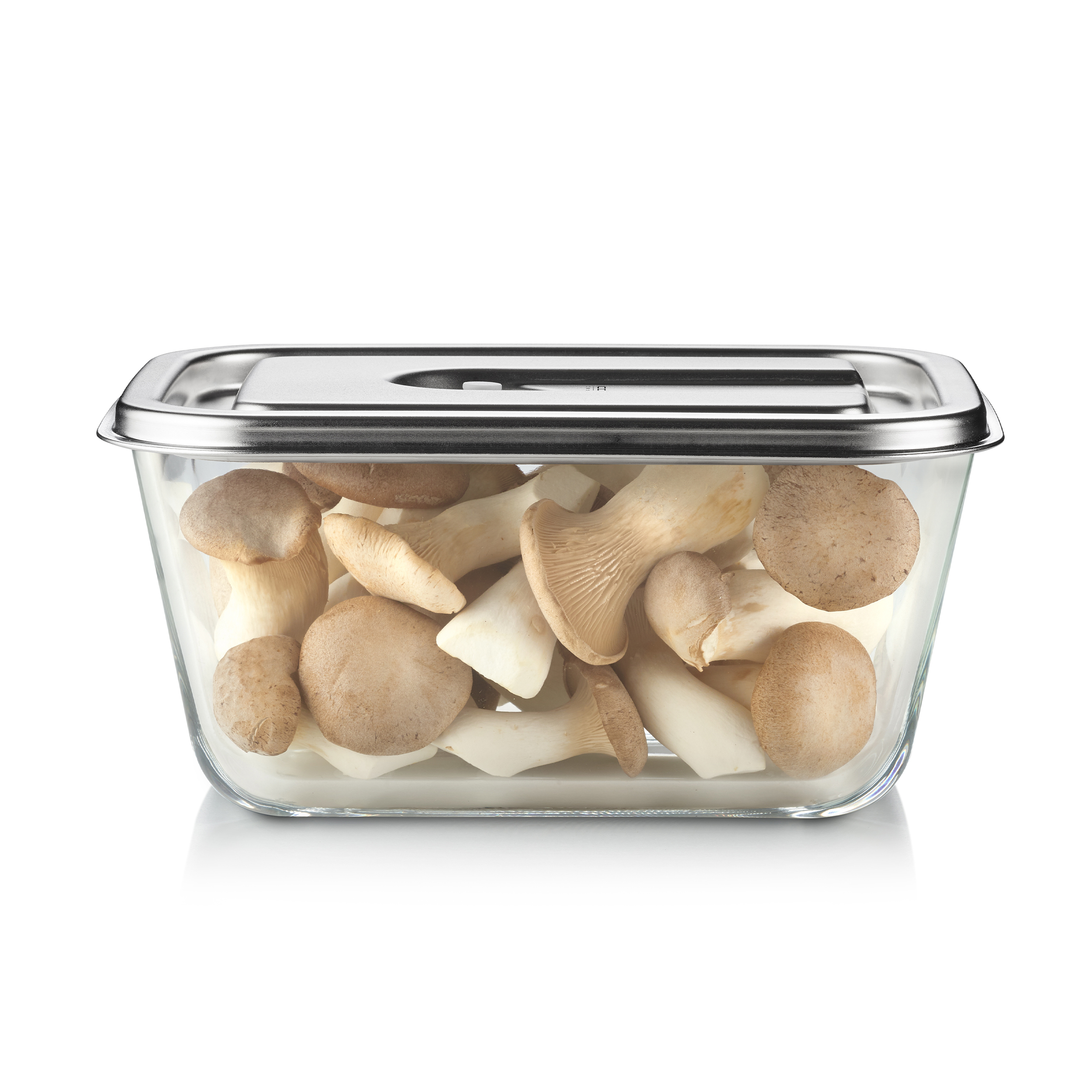 Un contenitore di vetro pieno di funghi assortiti, tra cui funghi ostrica, con un coperchio in acciaio inossidabile.