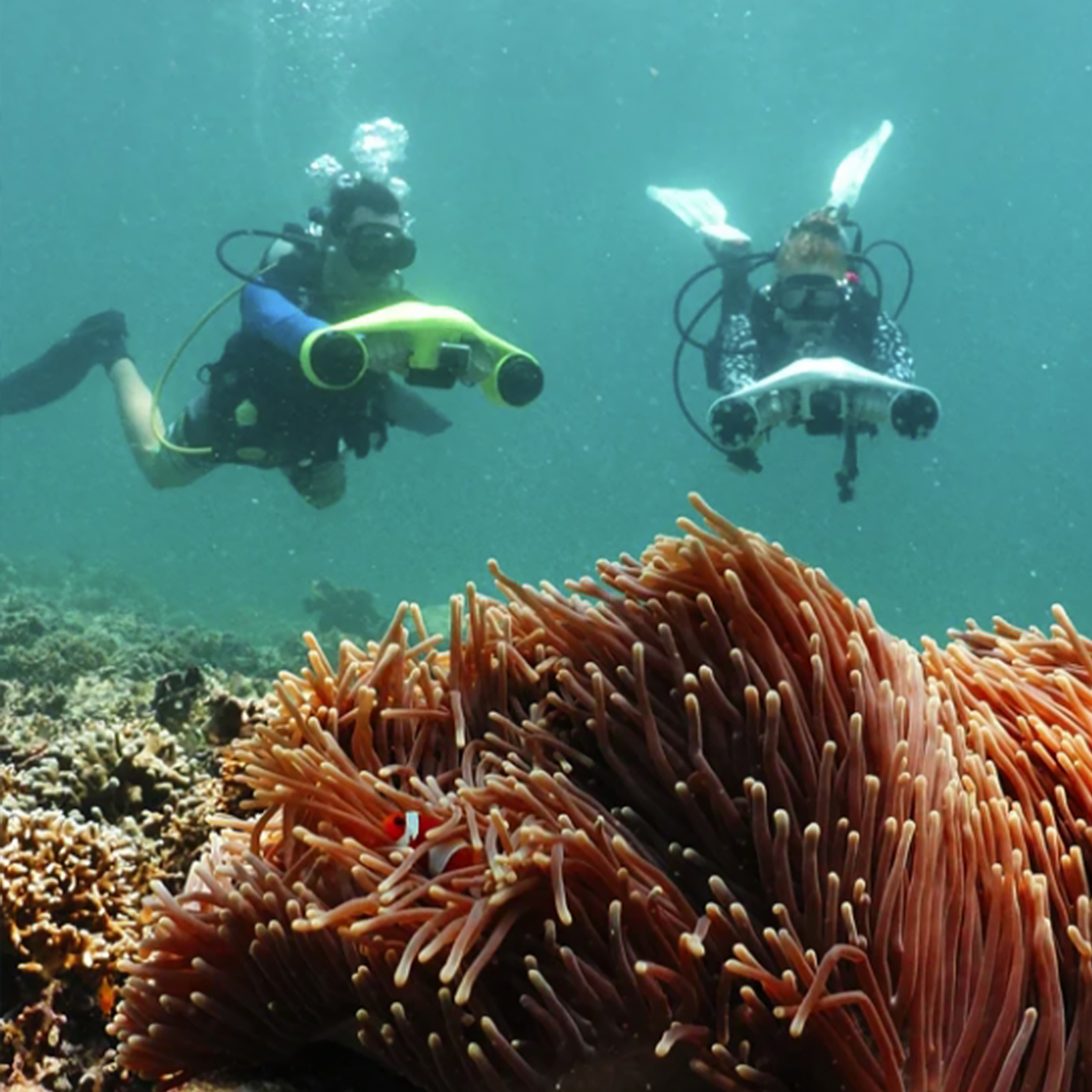 Nurkowanie pod wodą. Dwóch nurków ze sprzętem przepływa obok koralowców i ukwiałów.