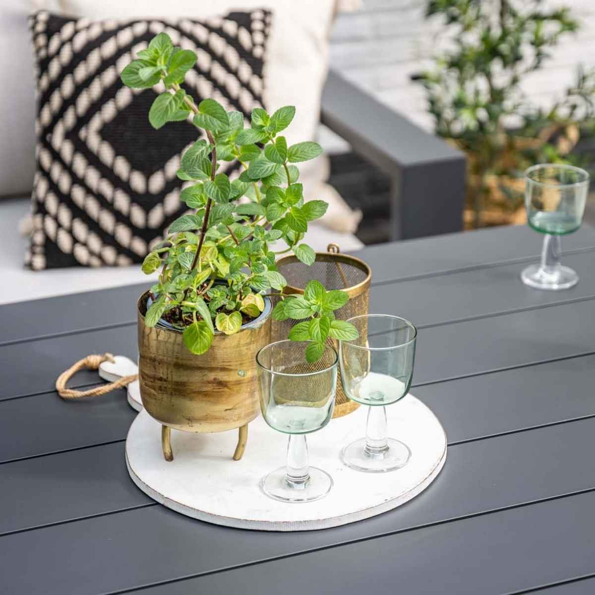 A table setting with mint plant, glasses, and decorative items. It is a close up shot of a gray table.