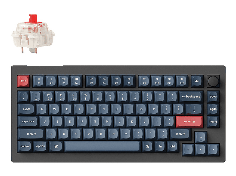 KEYCHRON V1 Max RGB TKL Mekanik Red Switch 2.4 GHz İngilizce Kablosuz Klavye Siyah