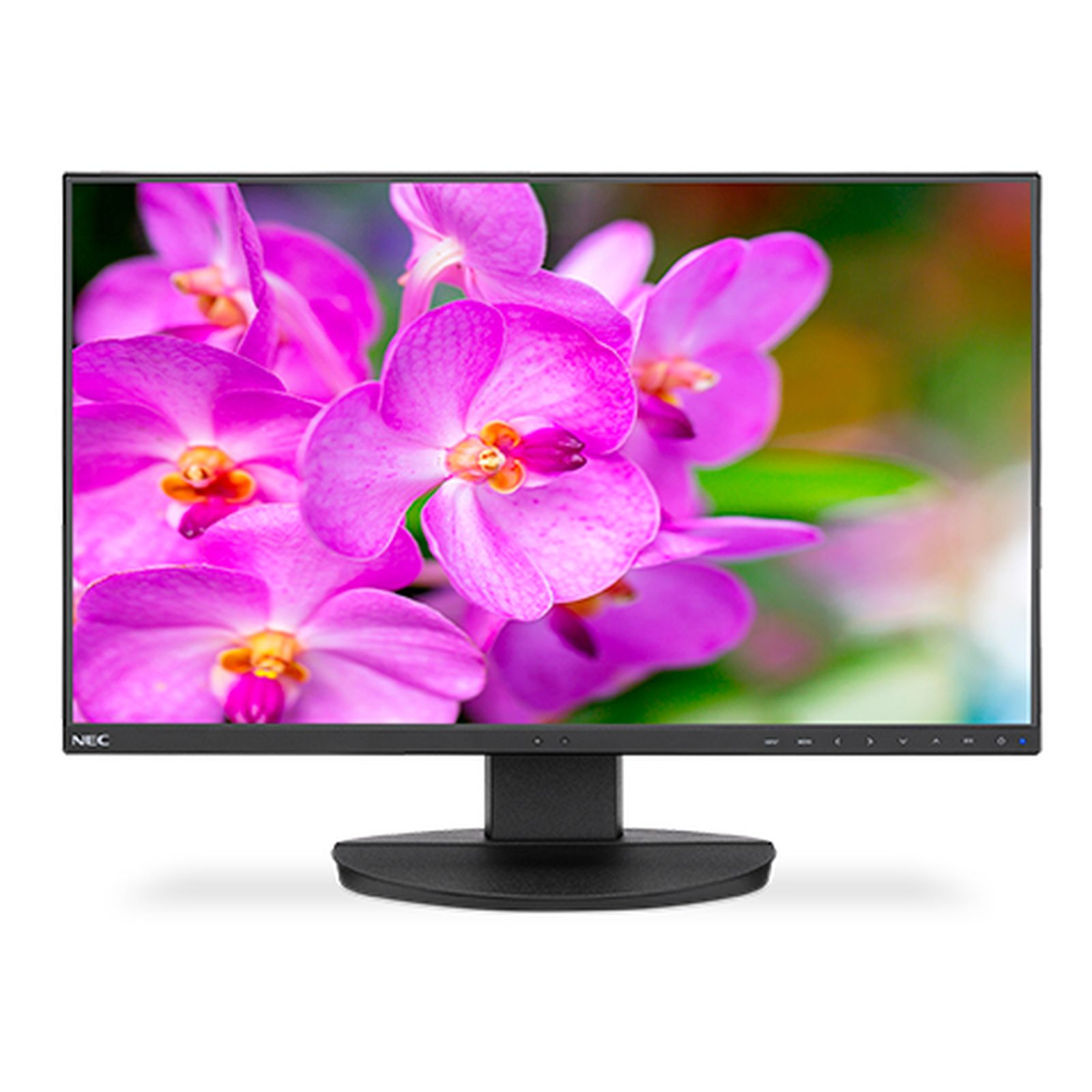 Ein Computermonitor zeigt rosa Orchideen. Der Monitor ist schwarz, der Hintergrund ist verschwommen grün und weiß.