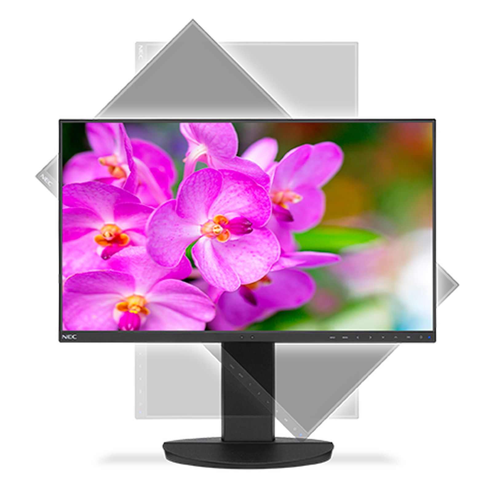 Ein Computermonitor zeigt rosa Orchideen. Der Monitor ist schwarz, der Hintergrund ist weiß mit grauen Formen.
