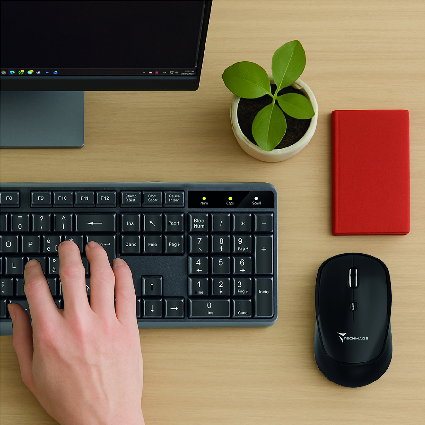 Una persona usa tastiera e mouse su una scrivania di legno, con un monitor e una pianta.