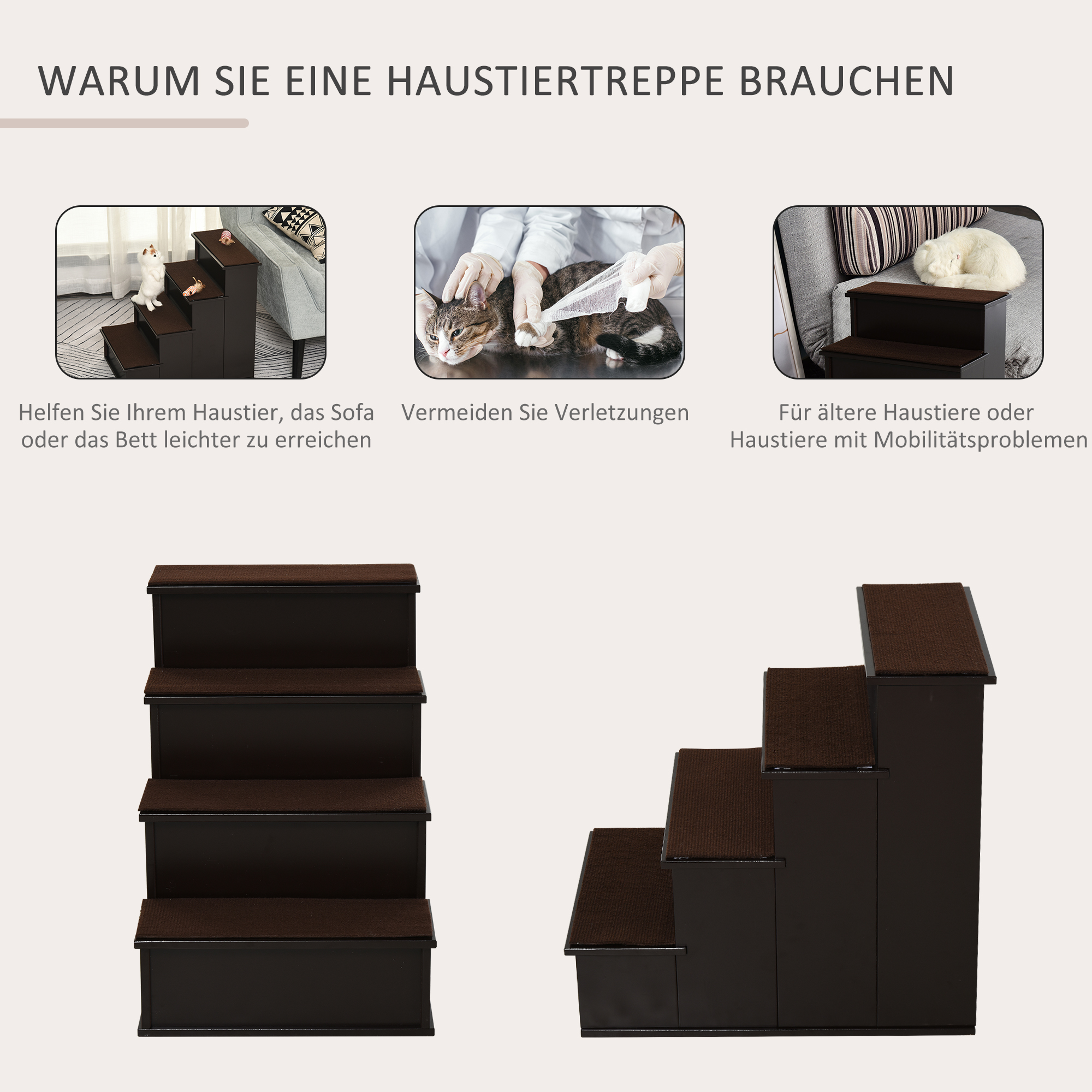 Bilder, die die Verwendung von Haustiertreppen zeigen. Eines zeigt eine Katze, ein anderes eine untersuchte Katze und ein weiteres eine Katze, die sich ausruht.