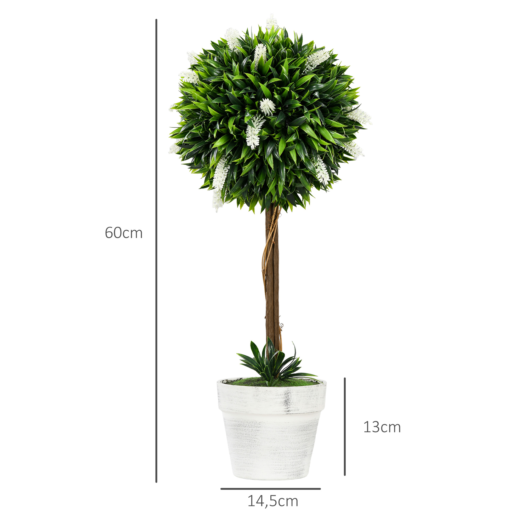 Ein kleiner Baum in einem weißen Topf. Der Baum hat eine kugelförmige Spitze und einen braunen Stamm.