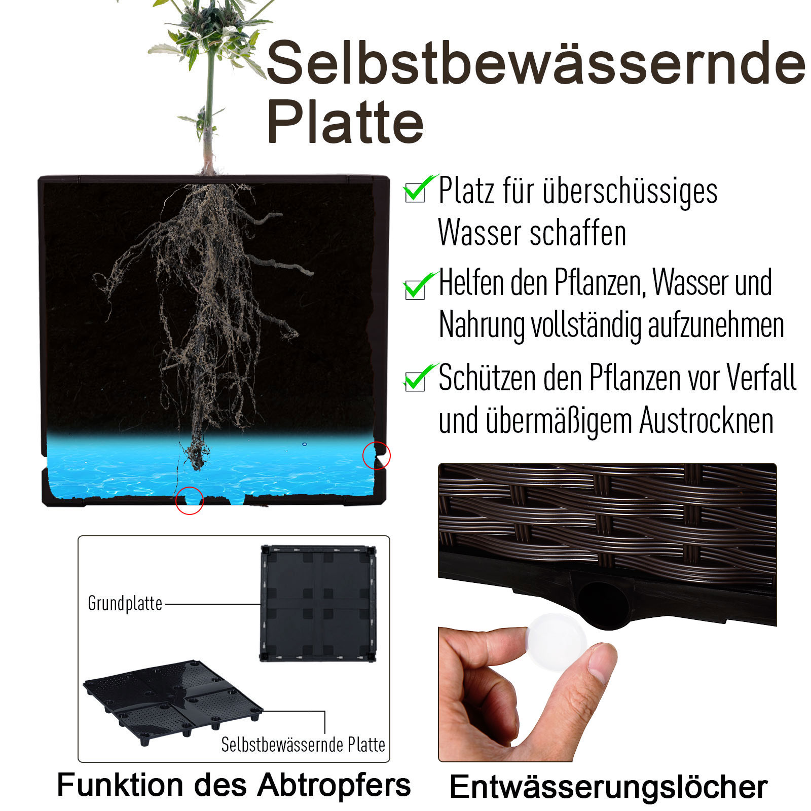 Diagramm einer selbstbewässernden Pflanzenplatte. Es zeigt Wasseraufnahme und -ableitung. Inklusive Grundplatte.