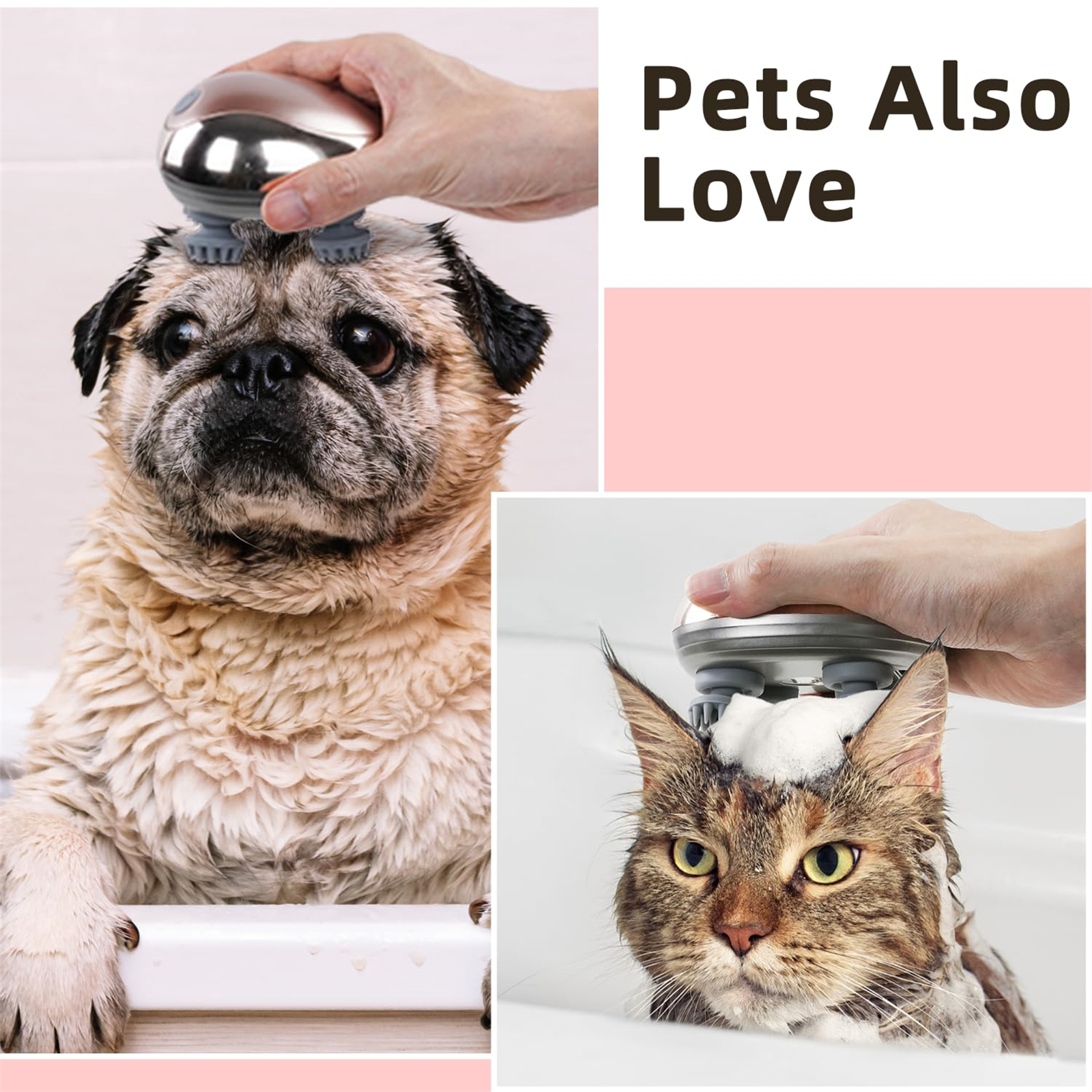 Zwei Bilder zeigen massierte Haustiere. Ein Mops wird in einer Wanne massiert, eine Katze wird massiert.