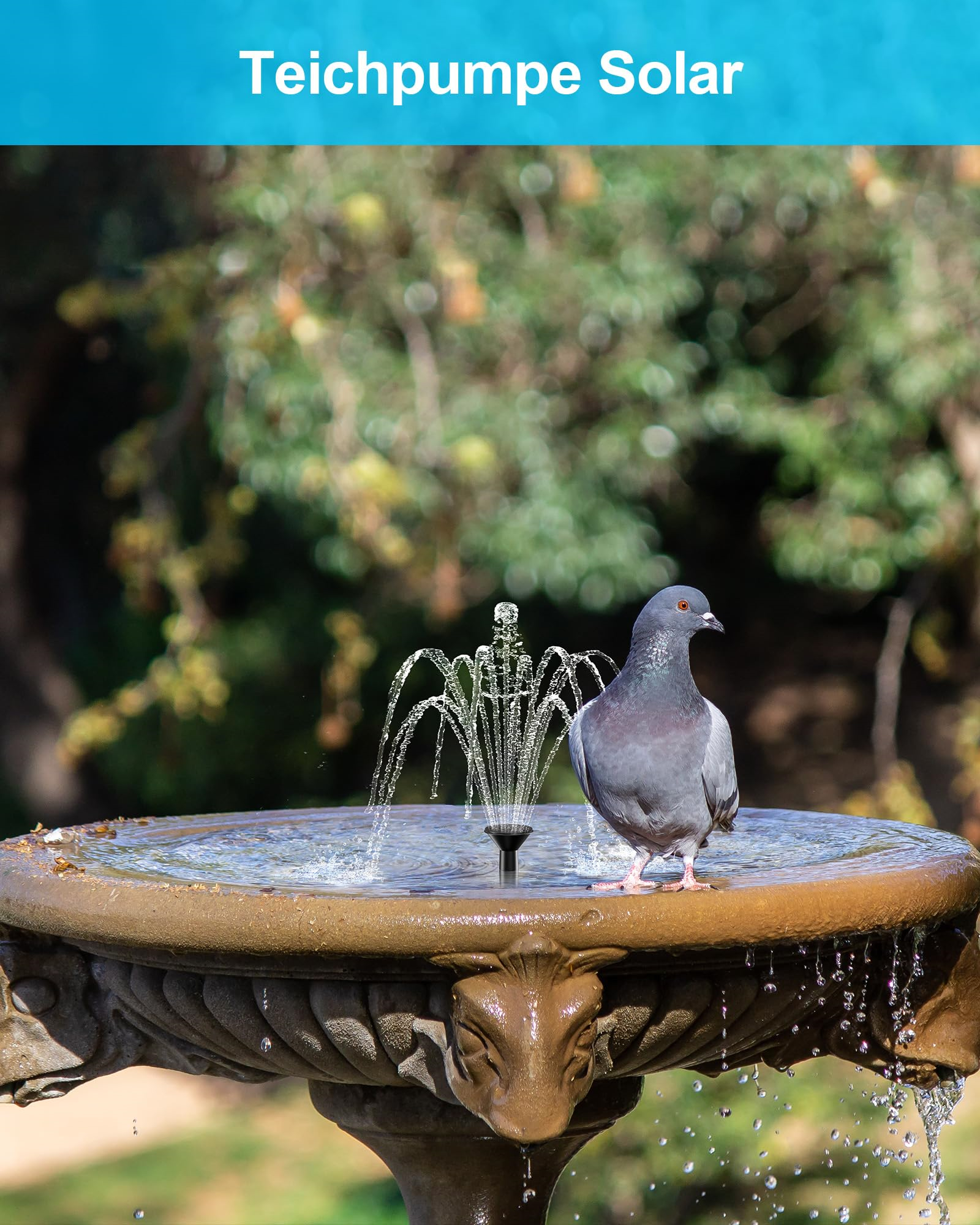 Eine Taube steht auf einem Brunnen mit sprühendem Wasser, mit einem verschwommenen Hintergrund aus Bäumen und Laub.