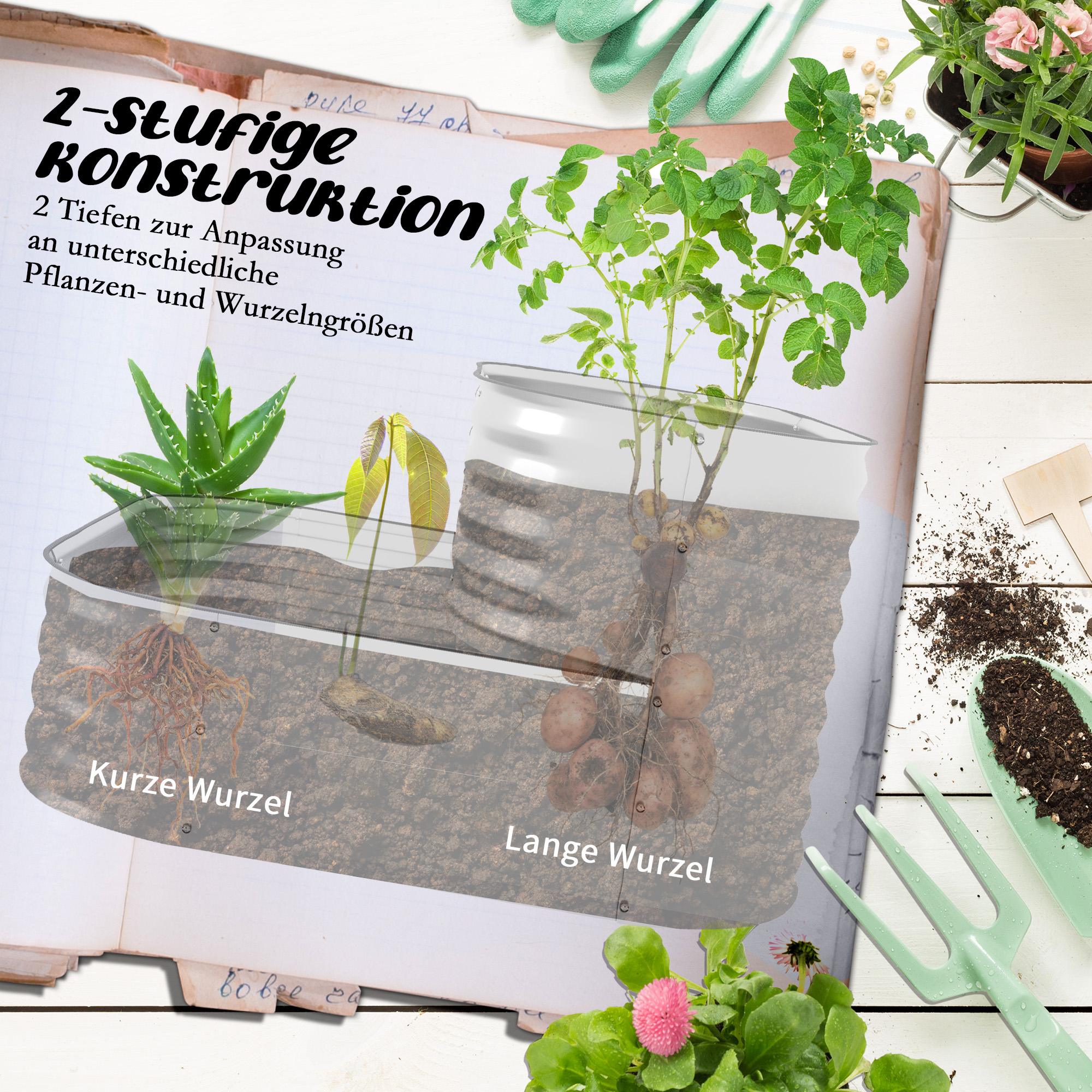 Diagramm eines zweistufigen Gartenbeets mit kurzen und langen Wurzeln in Erde und Wasser.