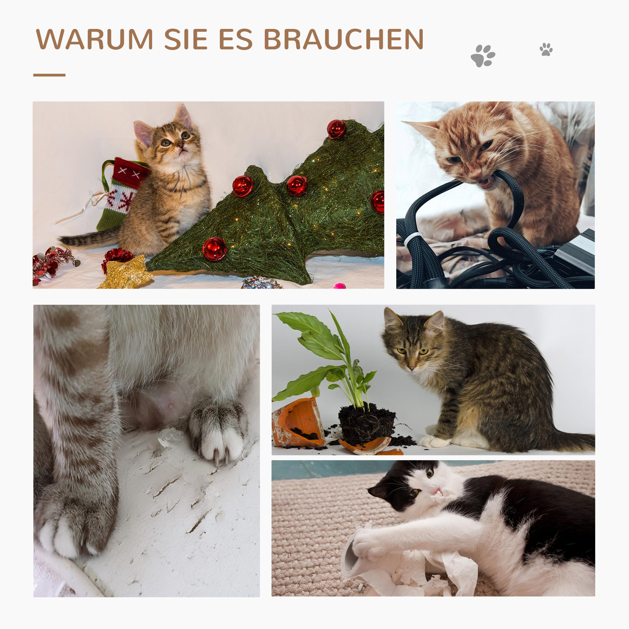 Eine Collage von Bildern, die Katzen zeigen, die Gegenstände beschädigen. Eine Katze beißt in Drähte, eine andere zerstört einen Weihnachtsbaum.