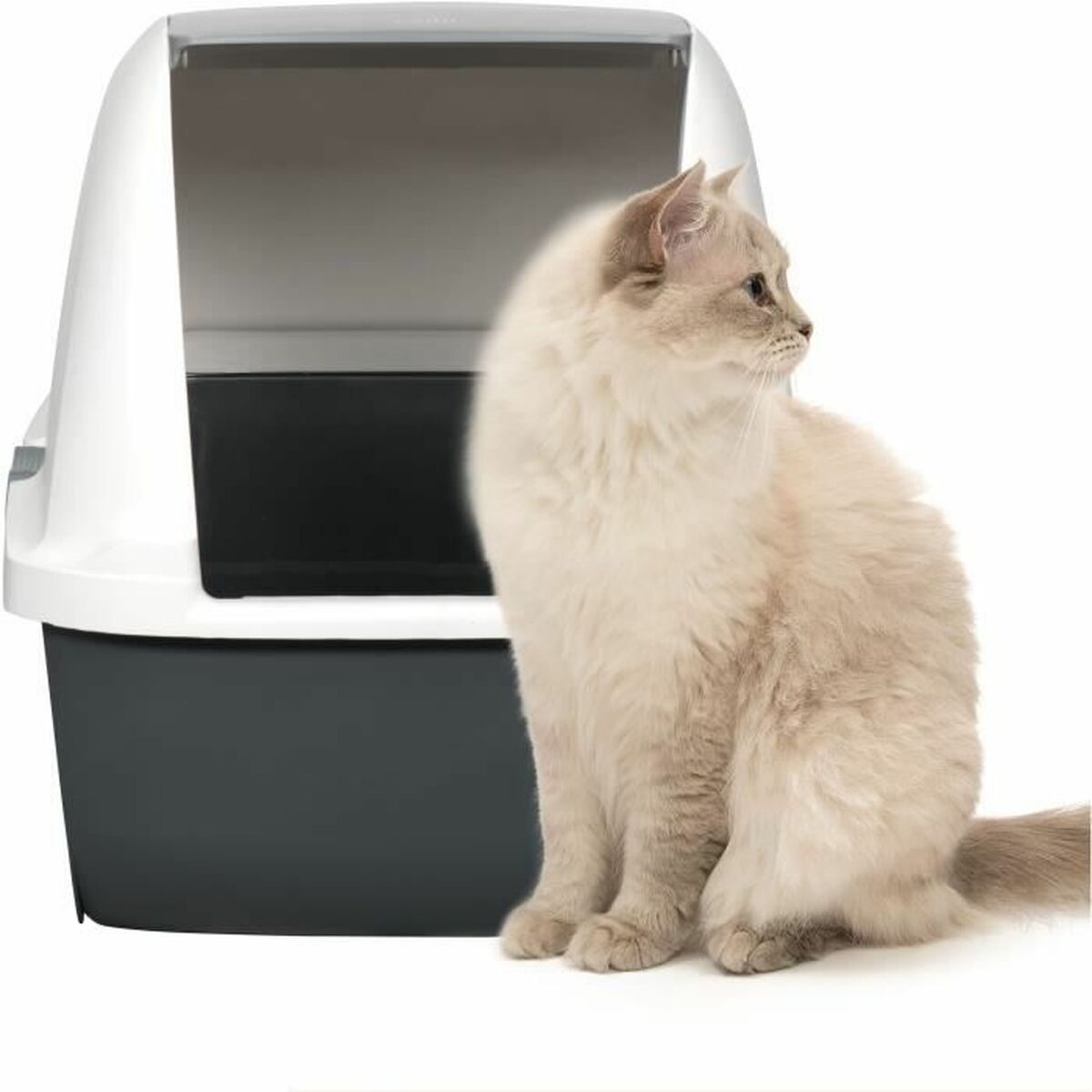 Lettiera bianca e grigia, con un gatto soffice di colore chiaro a destra, che guarda altrove.