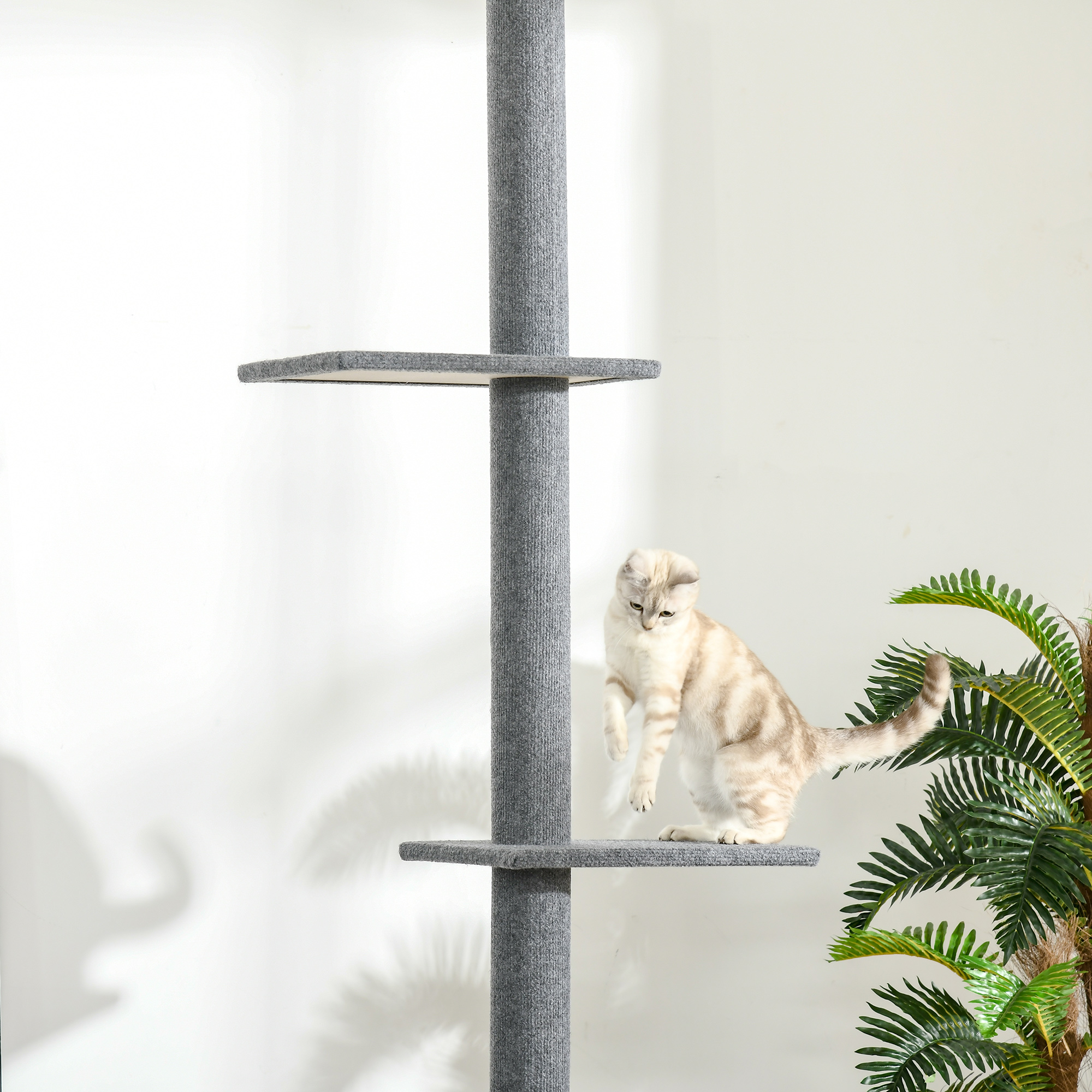 Eine Katze steht auf einem grauen Kratzbaum auf einer Plattform und greift nach oben. Der Hintergrund ist eine weiße Wand.