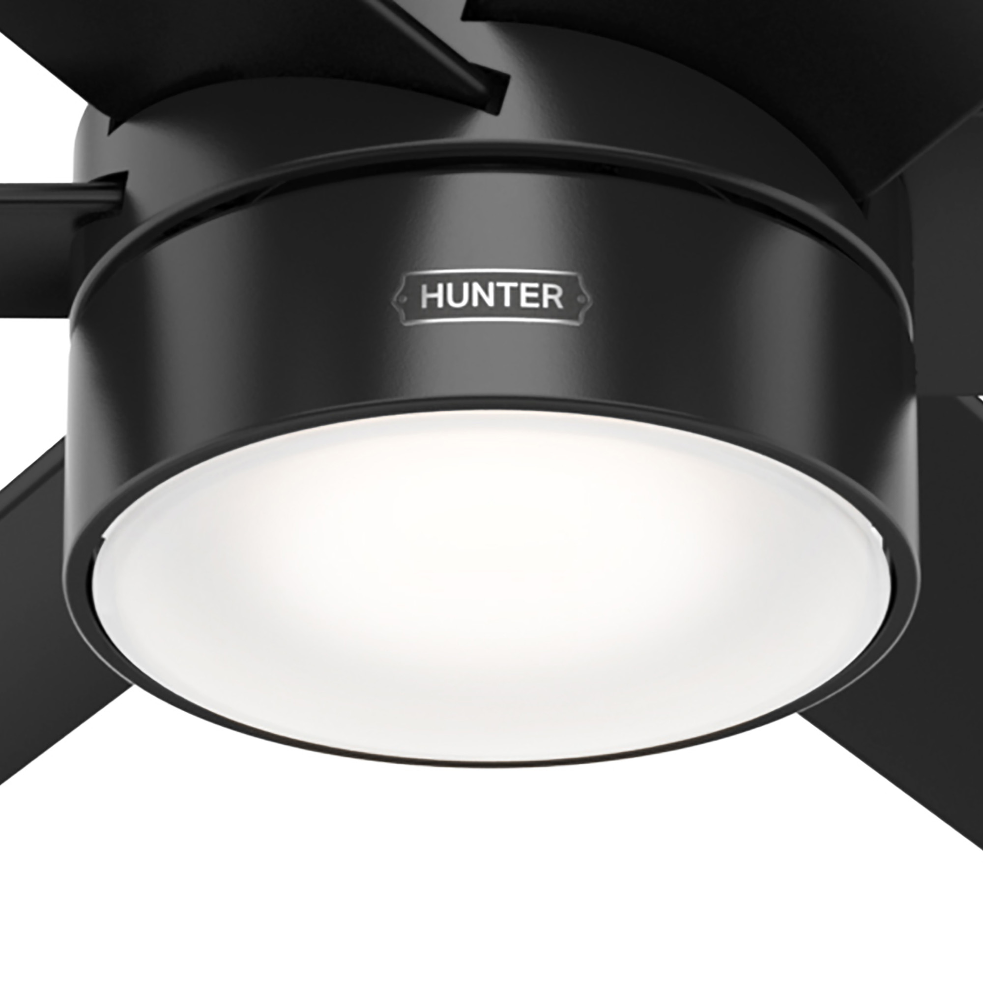 Nahaufnahme eines schwarzen Deckenventilators mit Licht. Der Markenname 'HUNTER' ist auf dem Ventilator.
