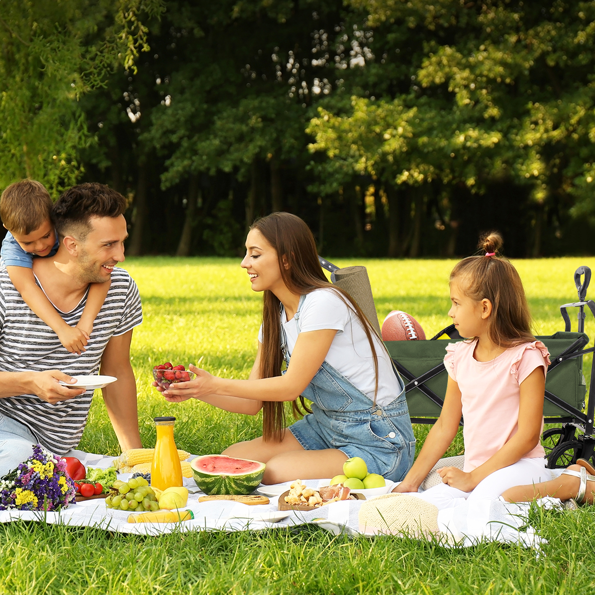 A family picnic. A man and two children are seated on a blanket, a woman is holding berries.