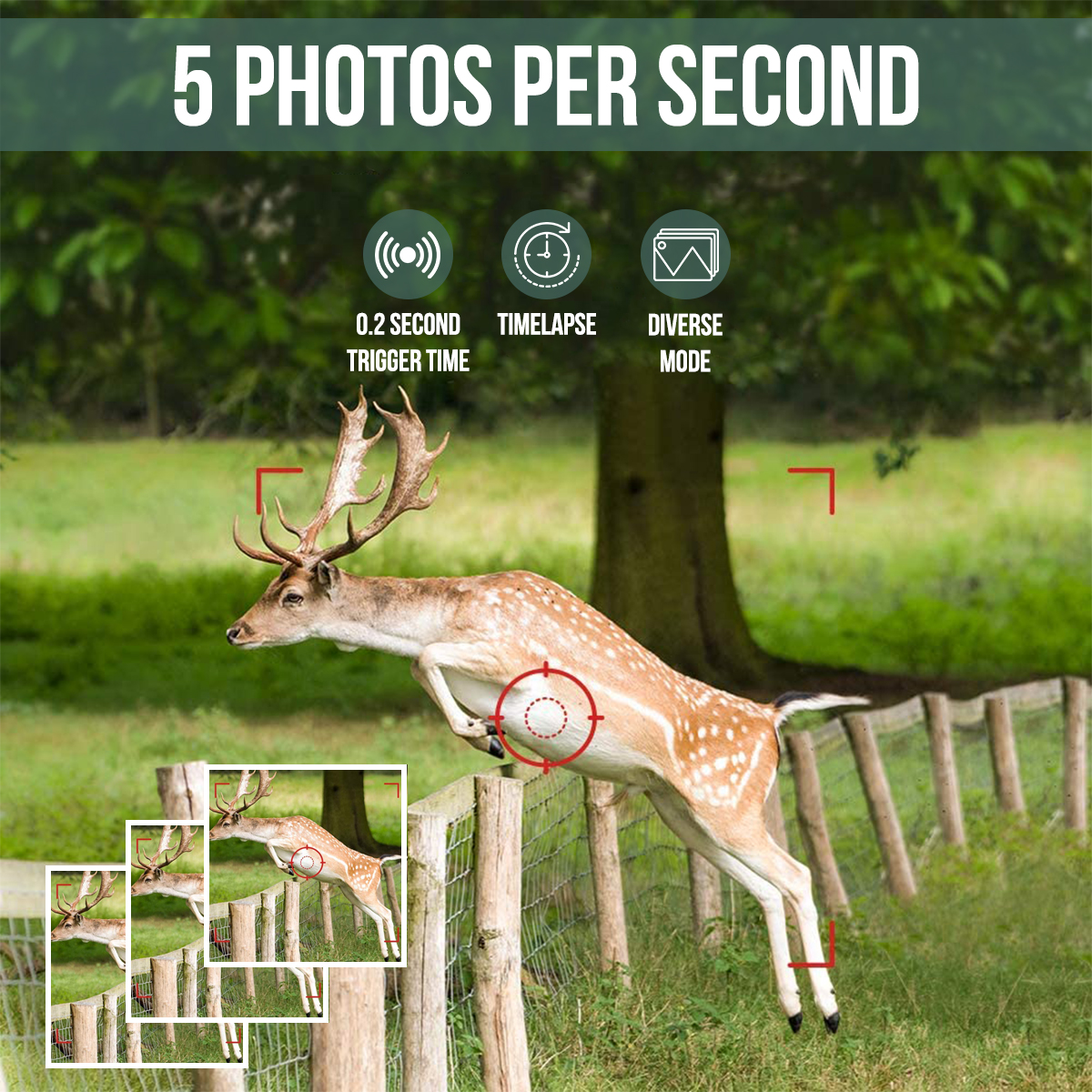 A deer leaping over a fence. Several smaller images showing the deer jumping over the fence are present.