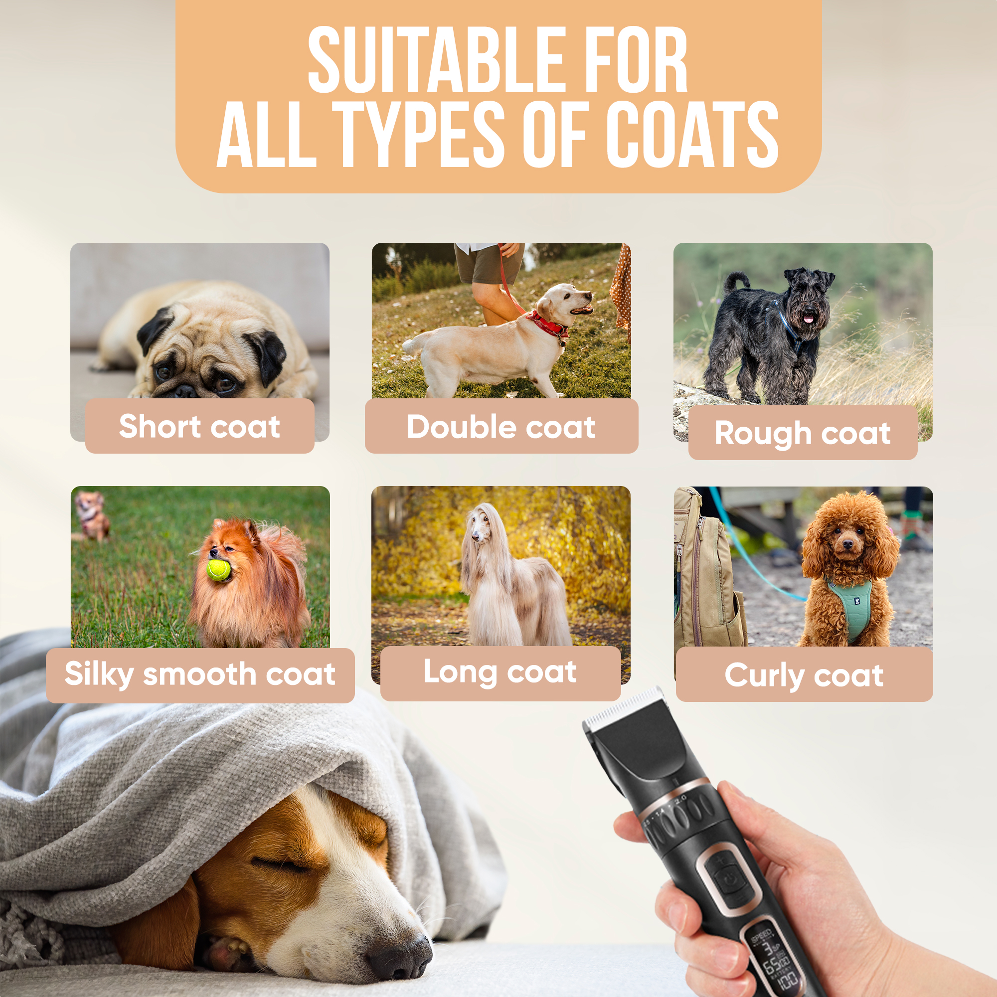 Various dogs with different coat types, including short, double, rough, silky, long, and curly coats.