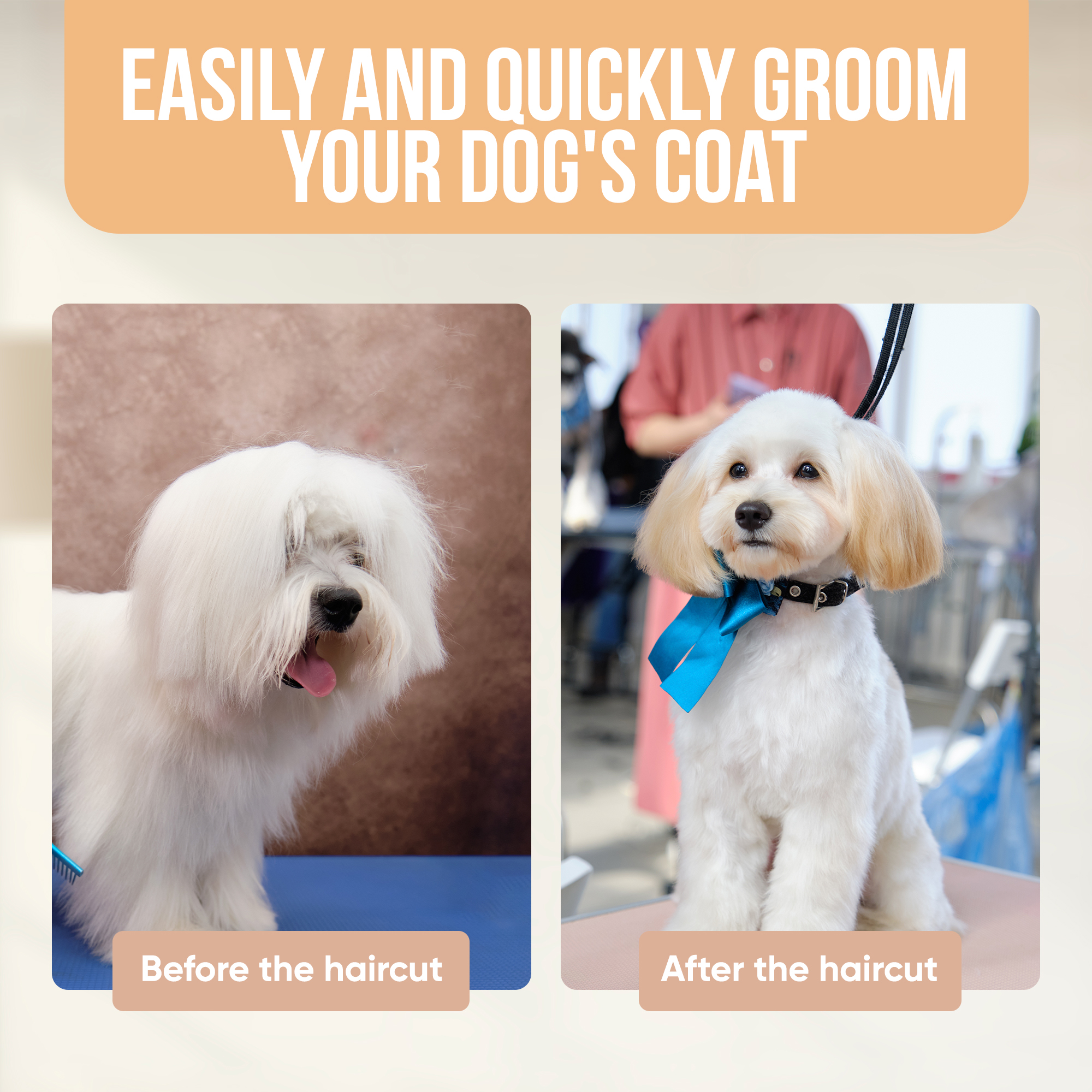 A before-and-after image showing a dog's coat before and after grooming.