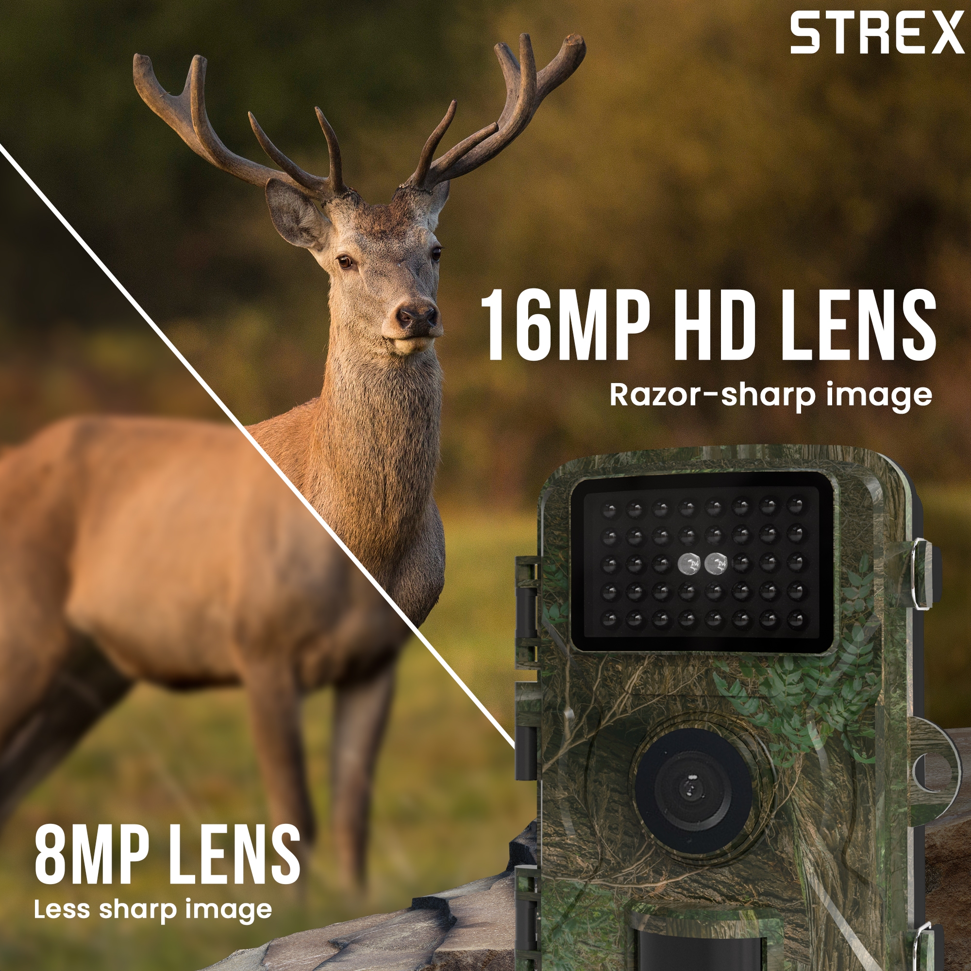 Deer in a blurry background, camera in the right corner. Text says 16MP HD lens and 8MP lens.
