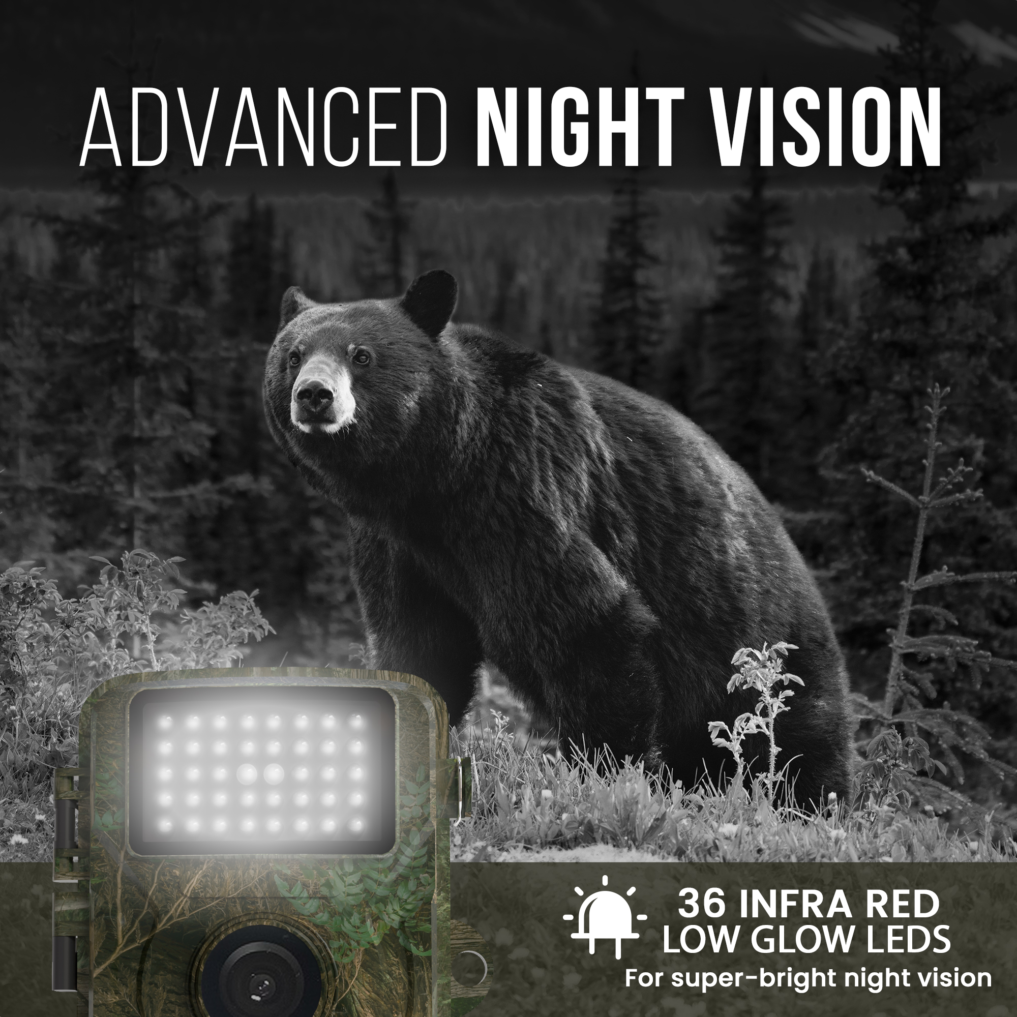 Black and white image of a bear in the forest with camera and text: Advanced Night Vision.