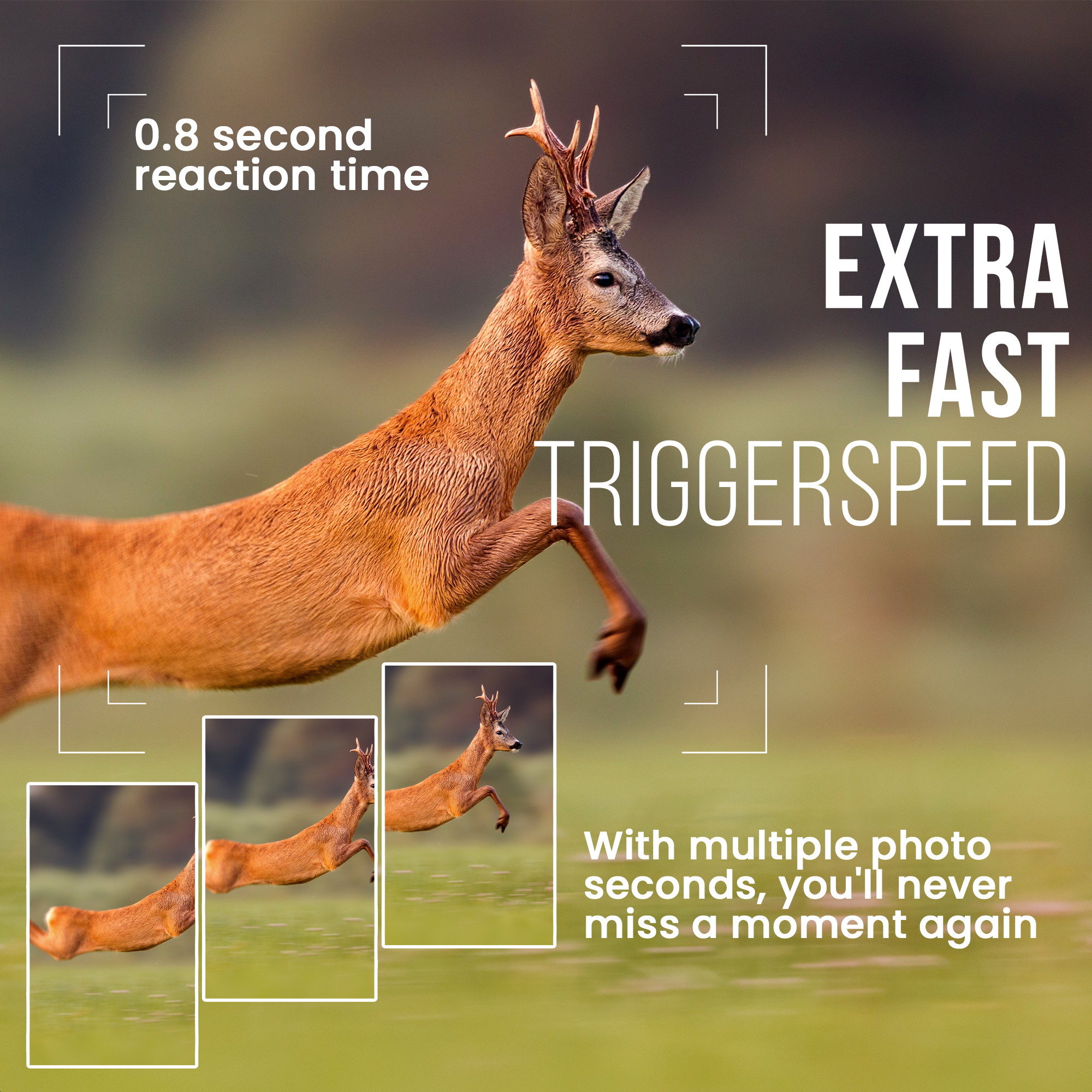 Deer jumping with multiple photos showing the action. Text reads Extra Fast Triggerspeed and 0.8 second reaction time.