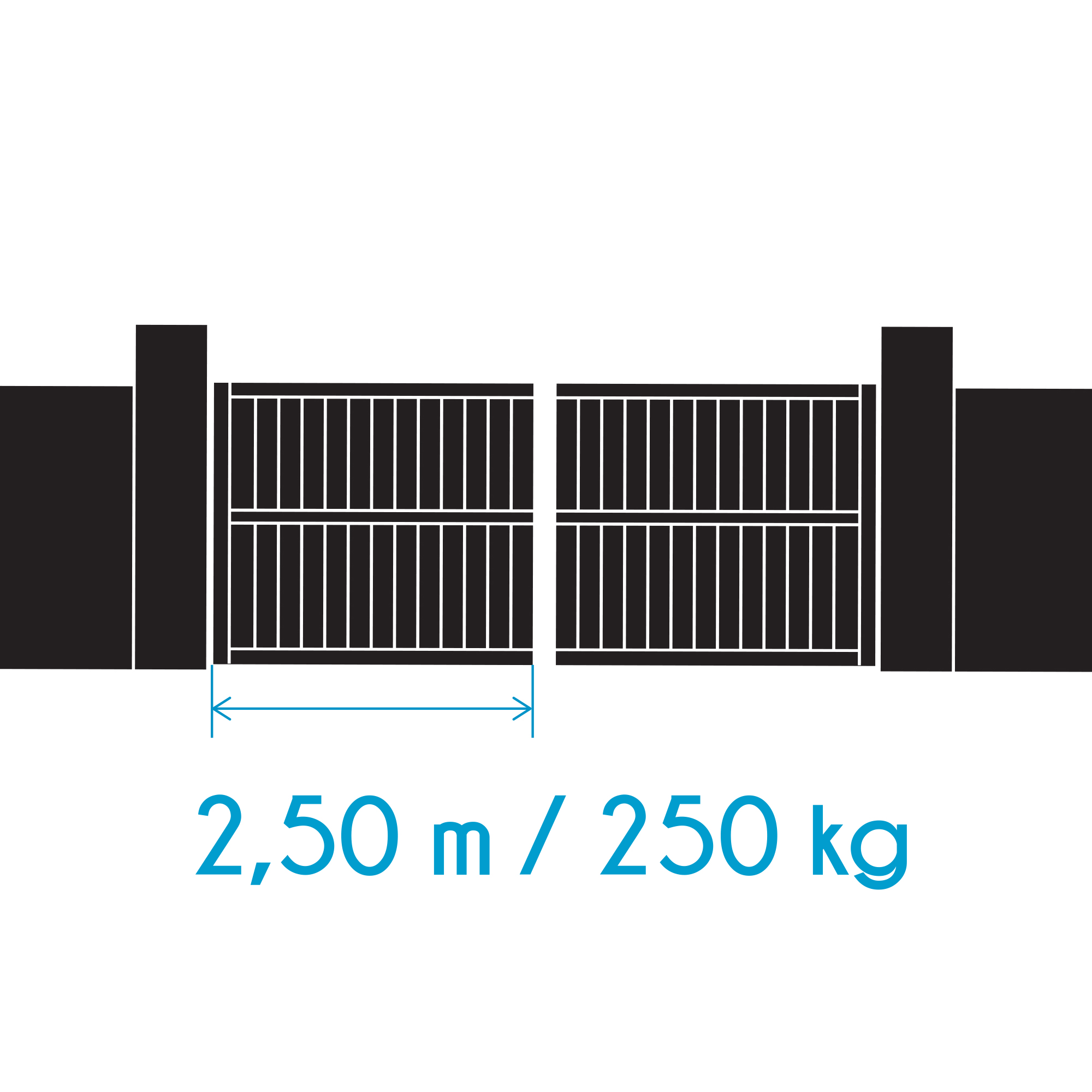 Diagrama de una puerta, con dimensiones de 2,50 metros y una capacidad de peso de 250 kg.