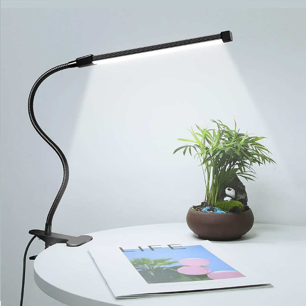 Schwarze Schreibtischlampe mit flexiblem Hals und Clip auf einem Tisch mit Pflanze und Buch.