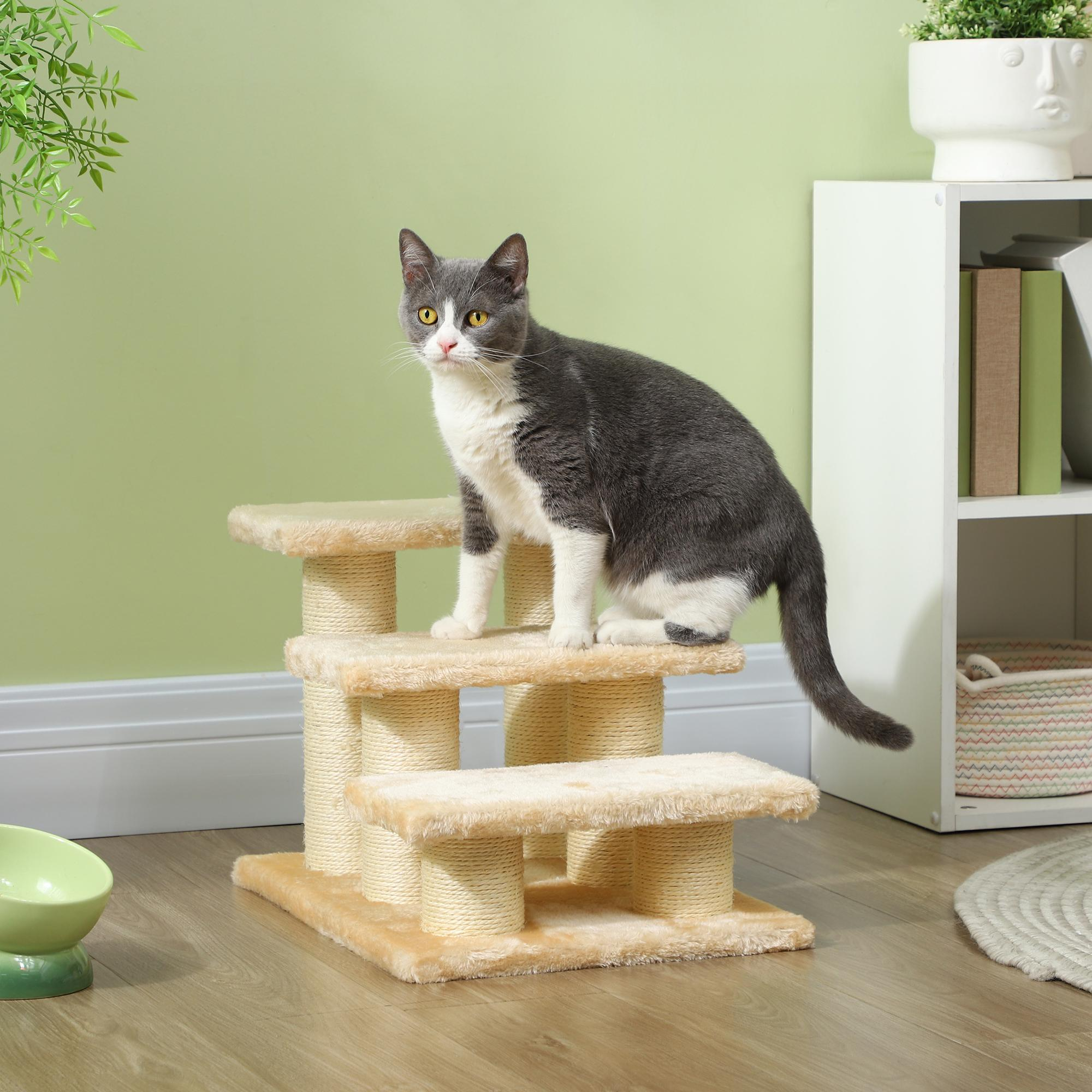 Eine grau-weiße Katze auf einem Katzenbaum in einem Raum mit grüner Wand und weißem Regal.
