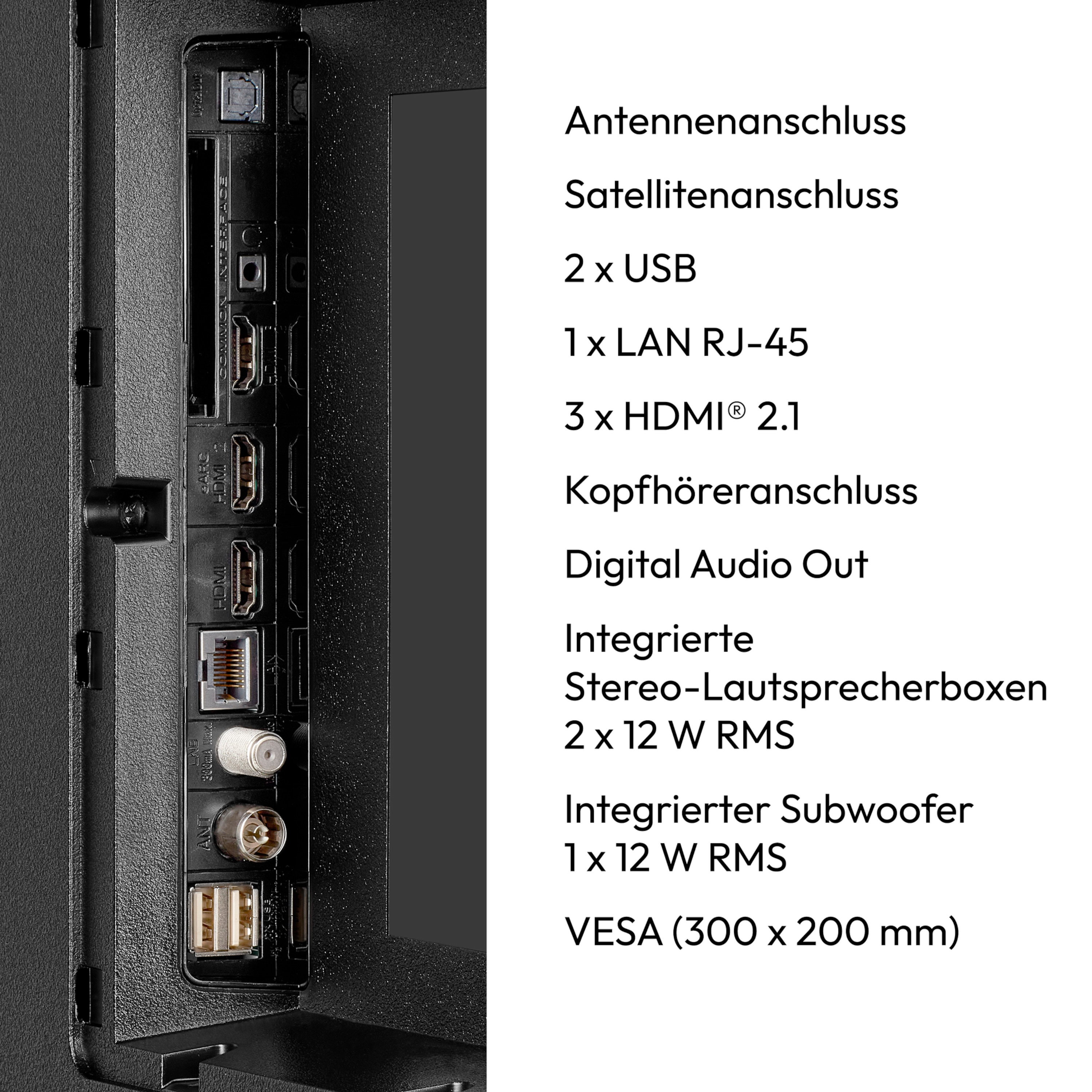 Die Rückansicht eines Fernsehers mit den Anschlüssen und ihren Namen und Spezifikationen.