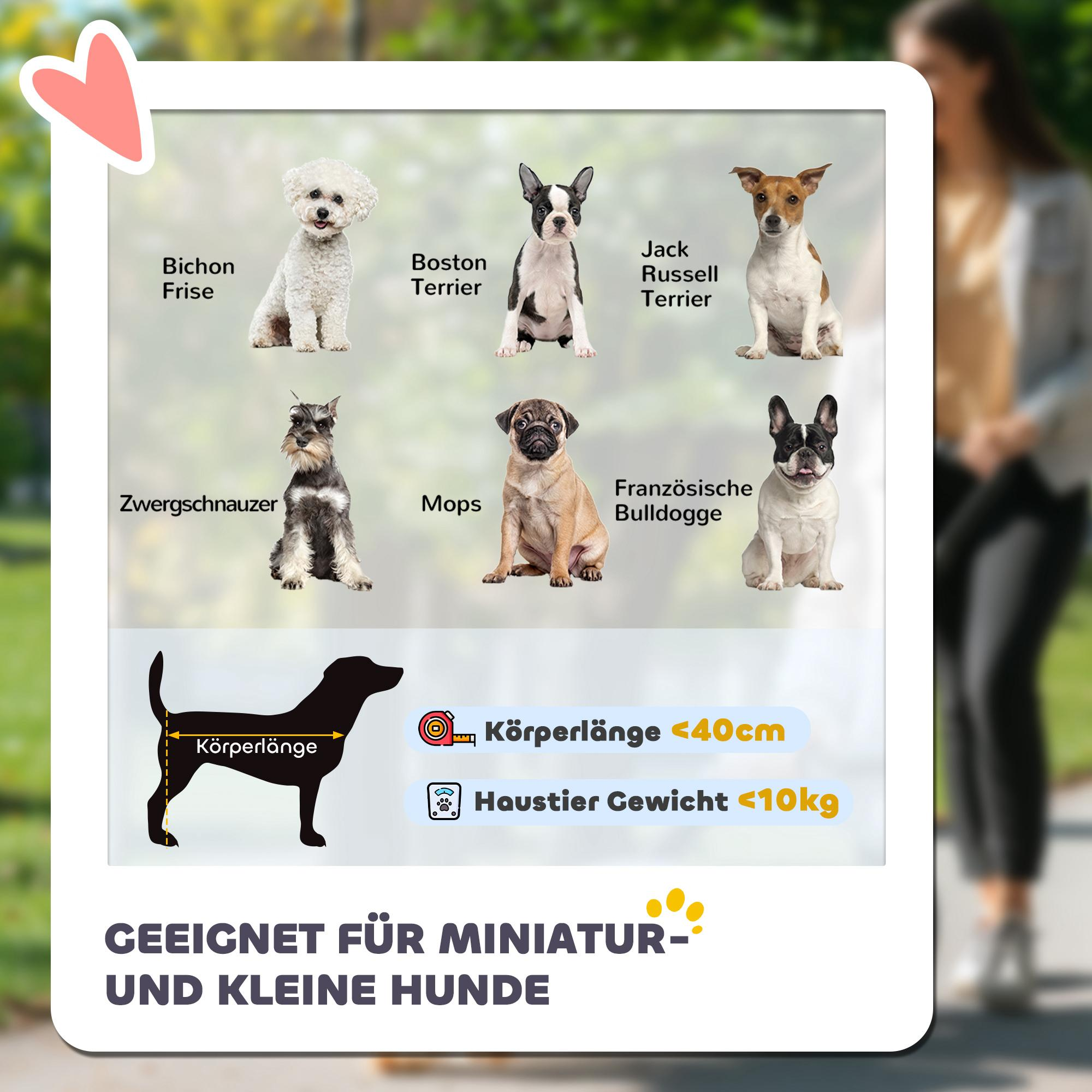 Verschiedene Hunderassen sind abgebildet, darunter Bichon Frise, Boston Terrier, Jack Russell Terrier und andere. Text über die Größe ist vorhanden.