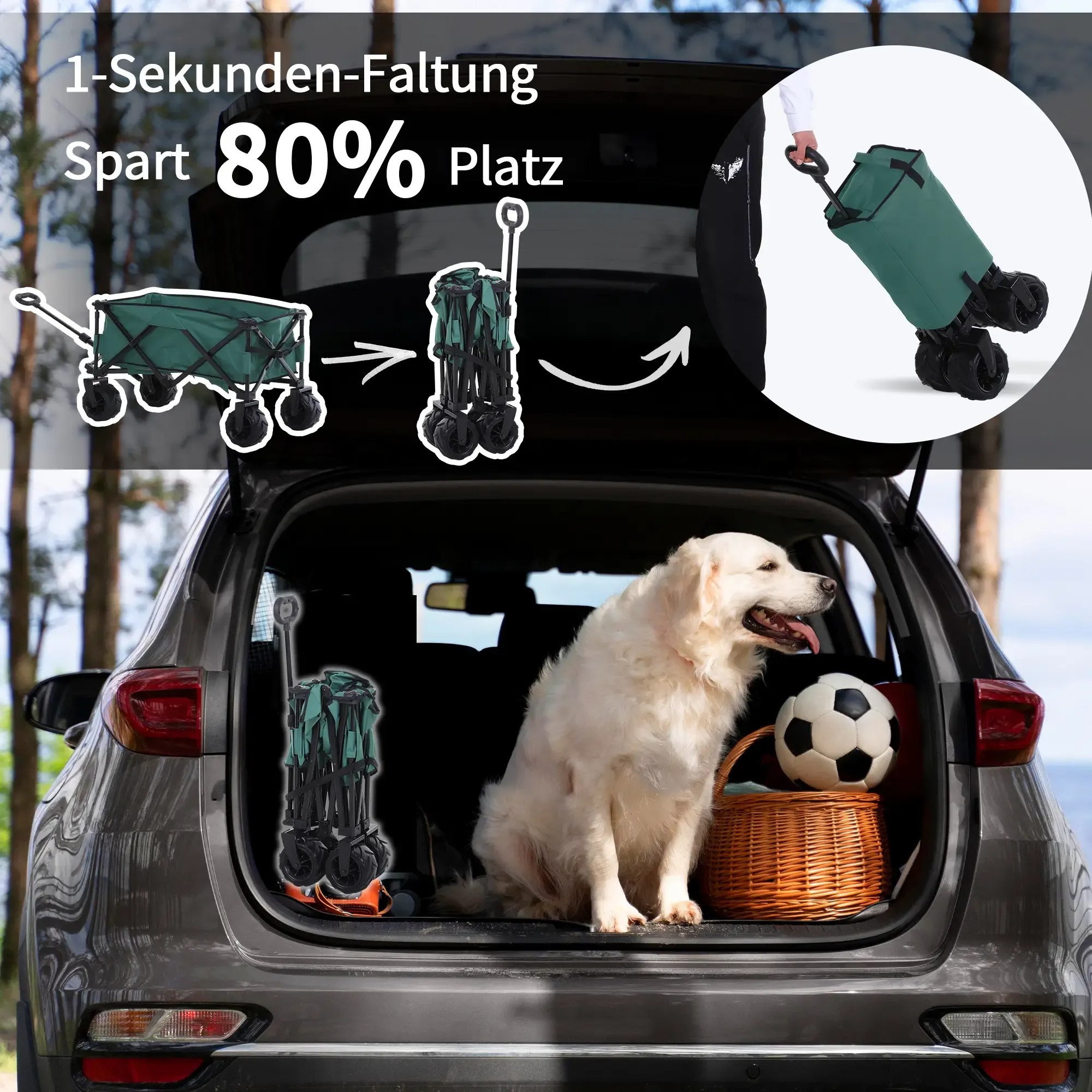 Ein Golden Retriever sitzt in einem Kofferraum neben einem Faltwagen. Der Wagen ist auch zusammengeklappt zu sehen.