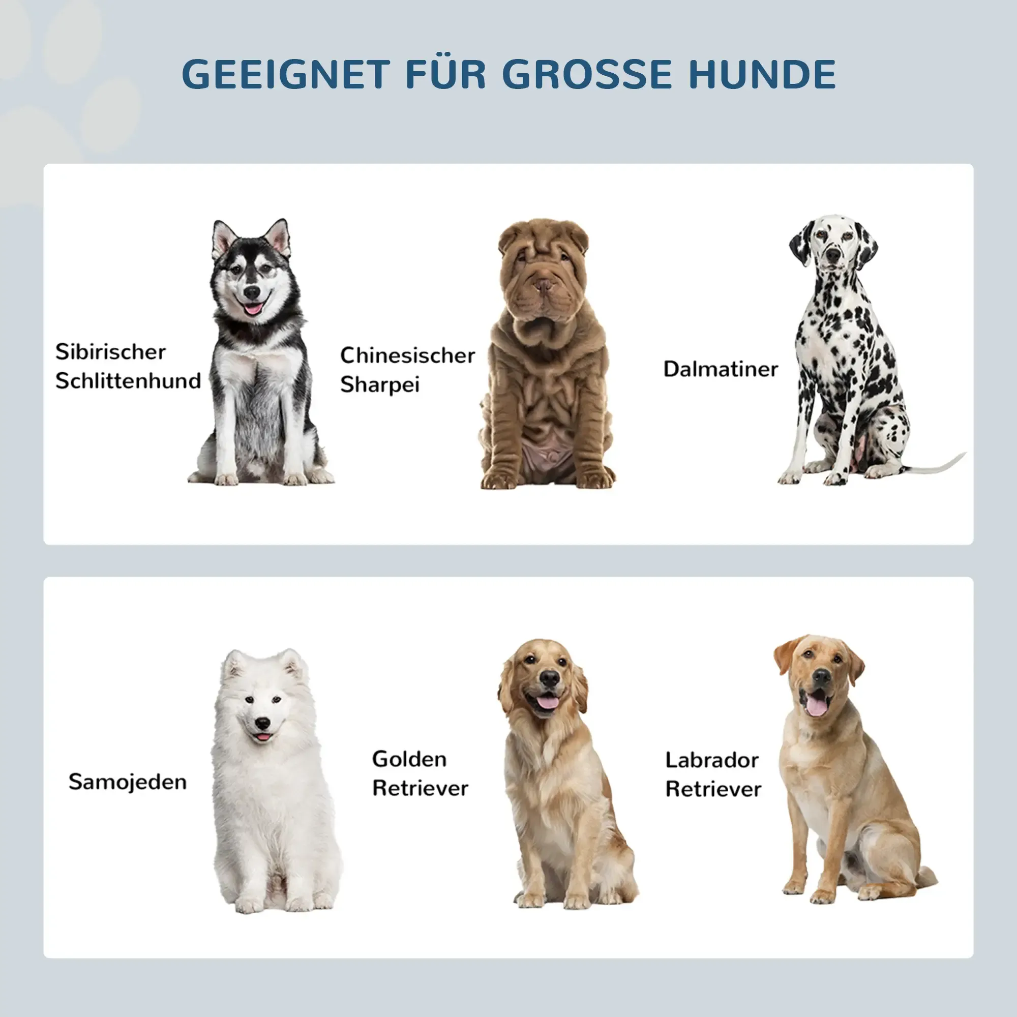 Bild zeigt sechs Hunderassen: Siberian Husky, Chinese Shar-Pei, Dalmatiner, Samojede, Golden Retriever, Labrador.