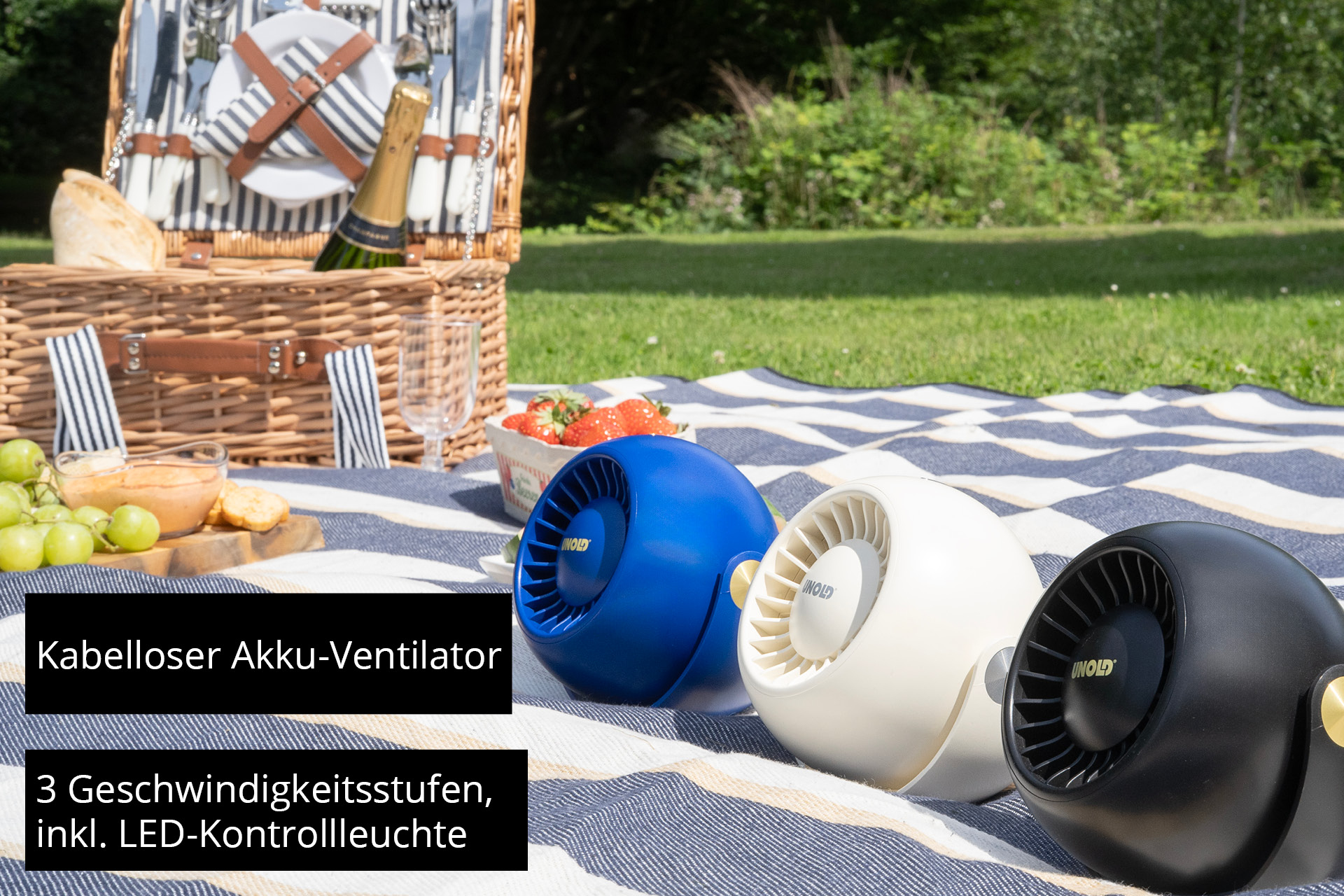 Scena di picnic con tre ventilatori portatili. Sono presenti anche un cestino e una coperta. Ventilatori blu, bianchi e neri.