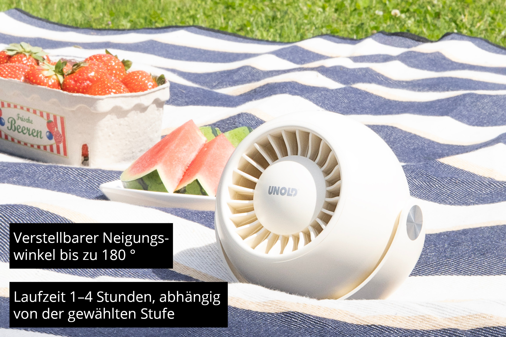 Scena di picnic con un ventilatore UNOLD bianco, fette di anguria e fragole su una coperta.