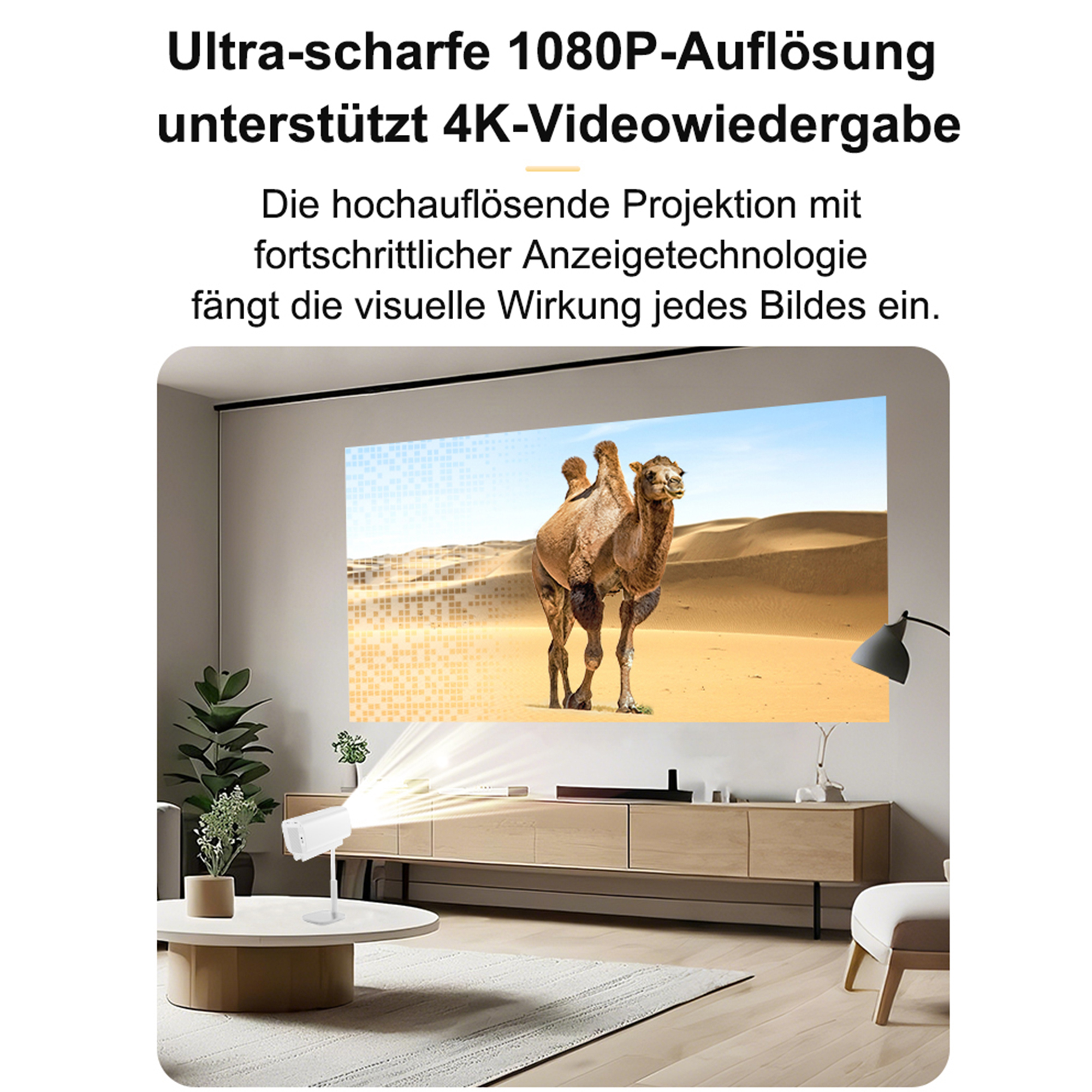 Ein Projektor projiziert ein Kamel in einer Wüstenszene auf eine Leinwand. Eine Lampe beleuchtet die Szene.