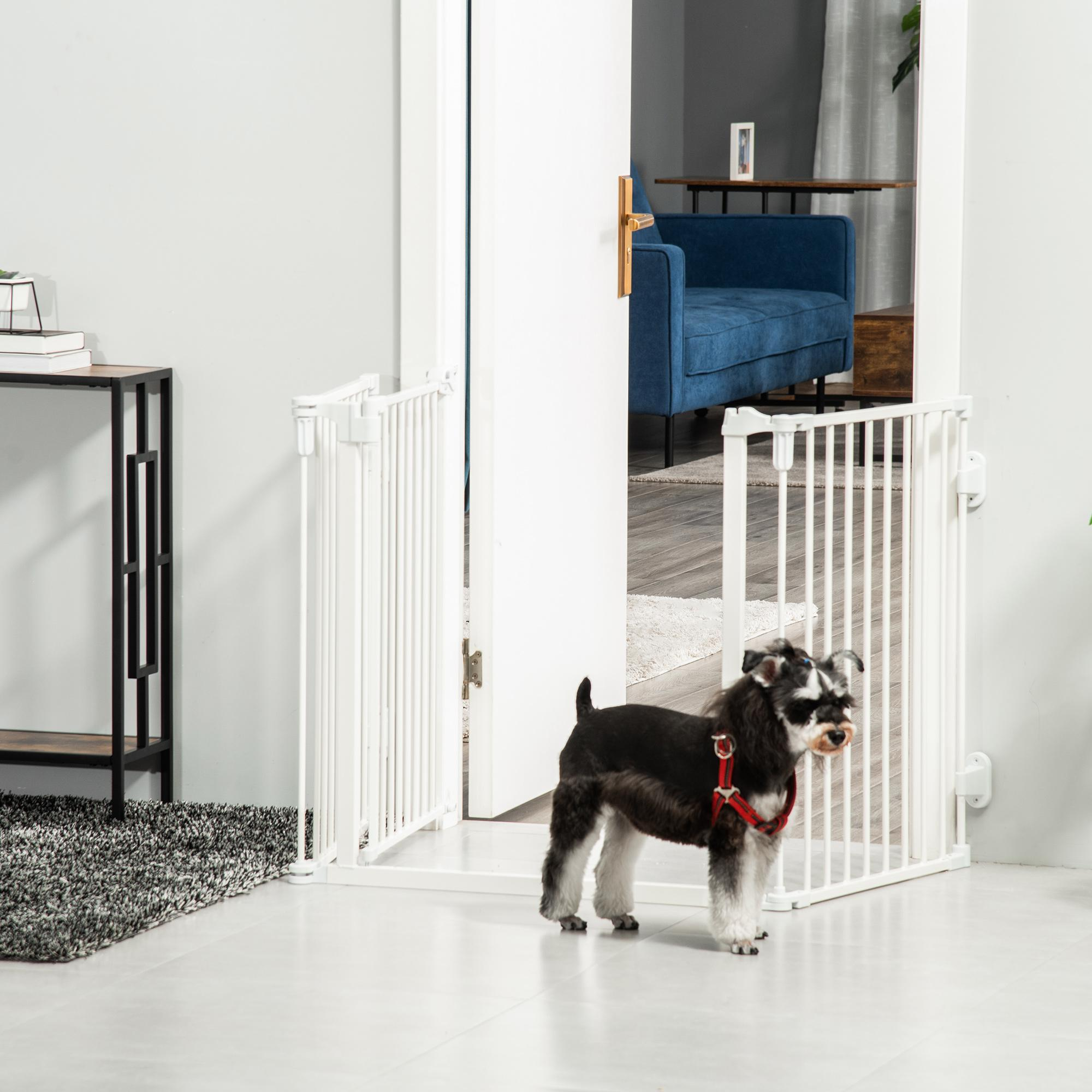 Ein Hund steht in einer Tür, die von einem weißen Babygitter blockiert wird. Das Gitter ist geöffnet, und der Hund trägt ein Geschirr.