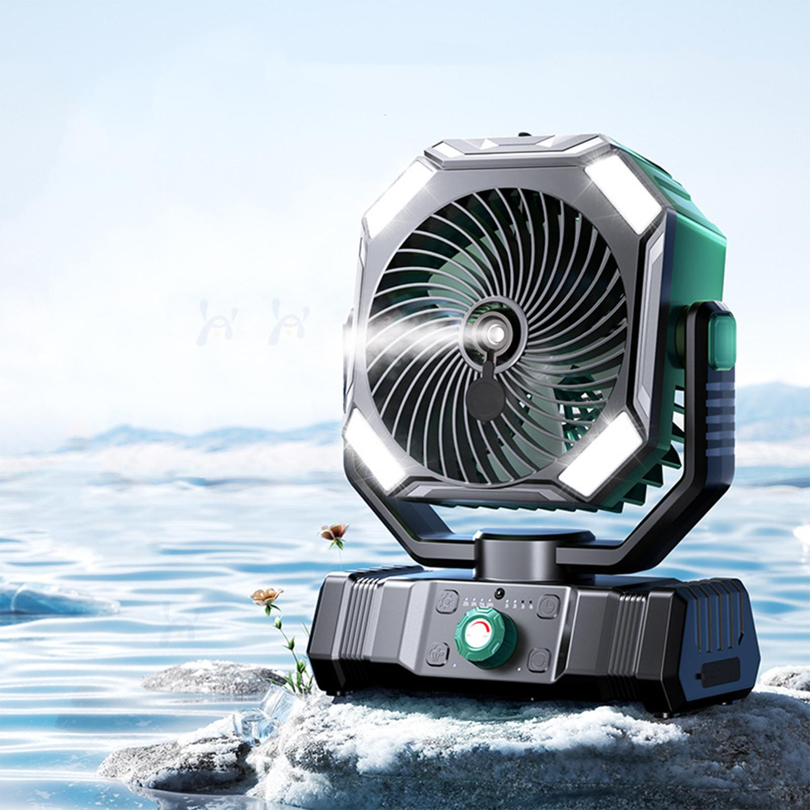Ein grüner und grauer Ventilator, der auf einem schneebedeckten Felsen in einem Gewässer mit blauem Himmel sitzt.