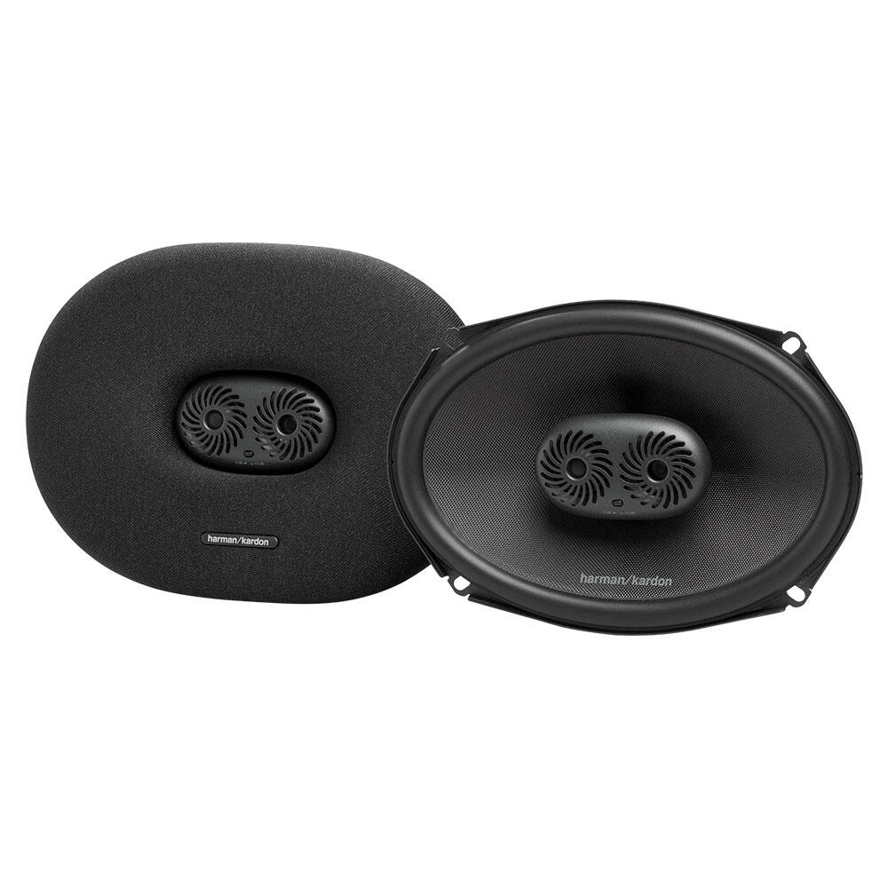 Zwei schwarze Lautsprecher, oval geformt mit einem Maschenzentrum. Das Harman Kardon Logo befindet sich unten.