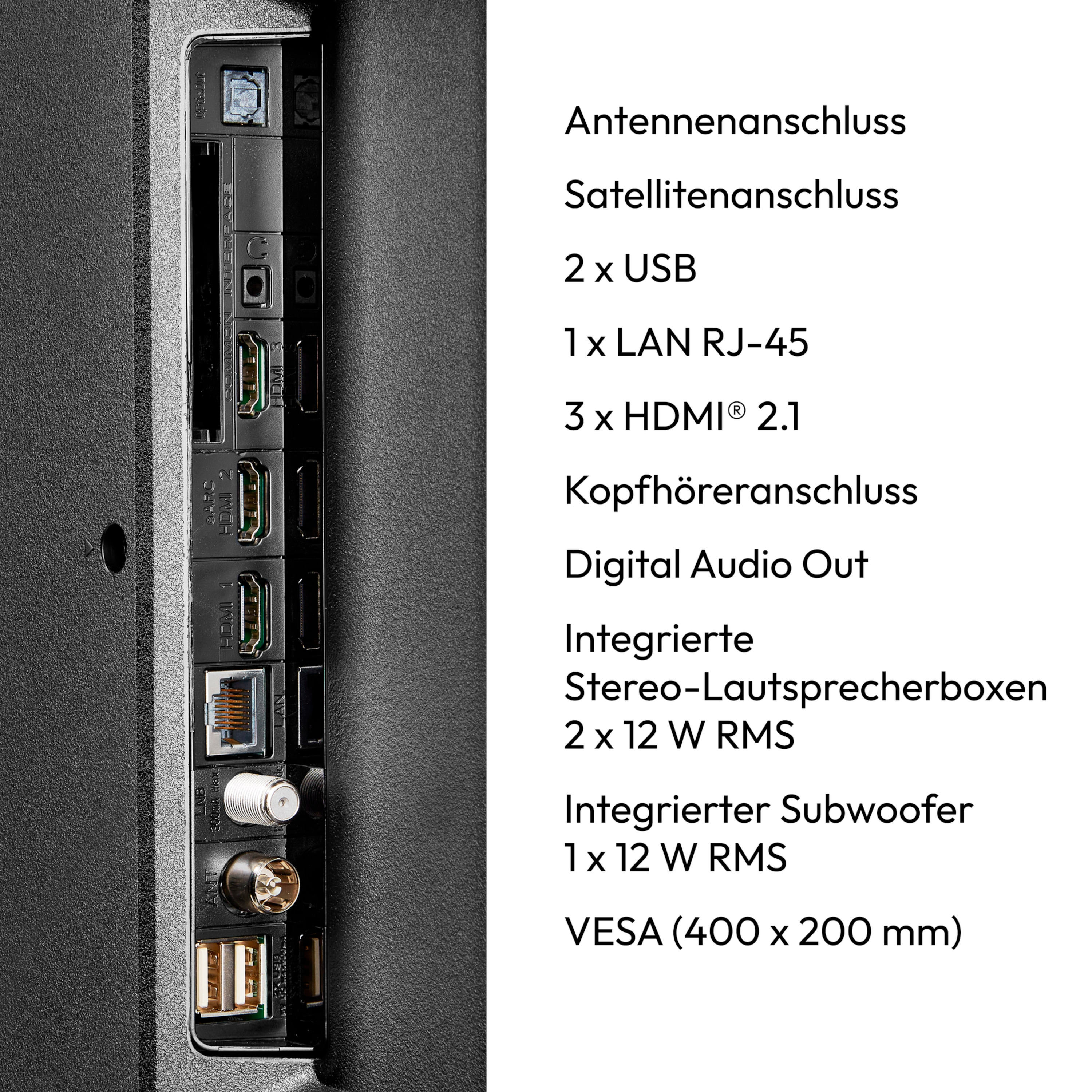 Rückwand eines Fernsehers mit verschiedenen Anschlussports: USB, HDMI, LAN und Audioausgang.