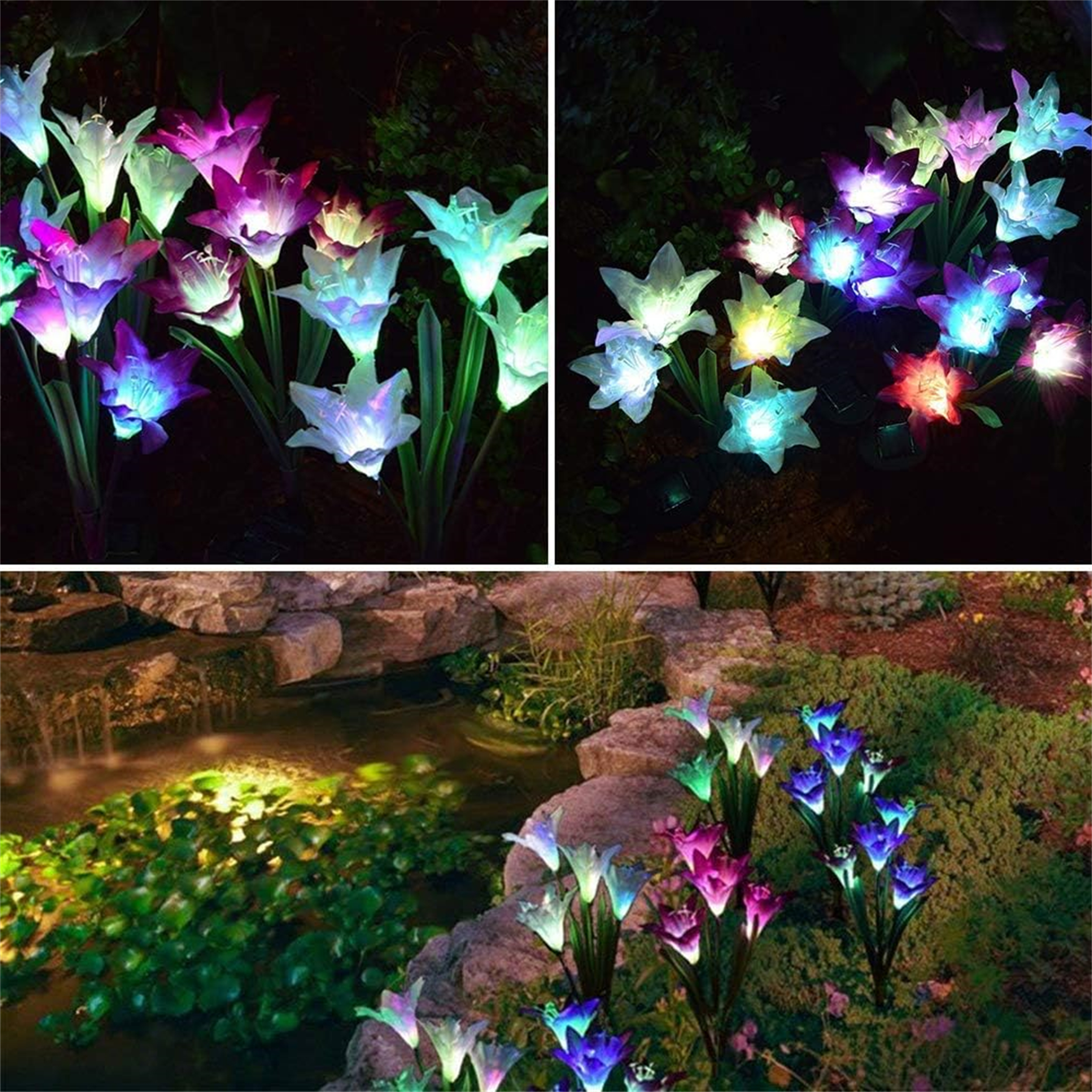 Nachtszenen von leuchtenden Lilienlichtern im Garten mit unterschiedlichen Farben. Vordergrund hat Pflanzen und Wasser. Der Hintergrund ist dunkel.