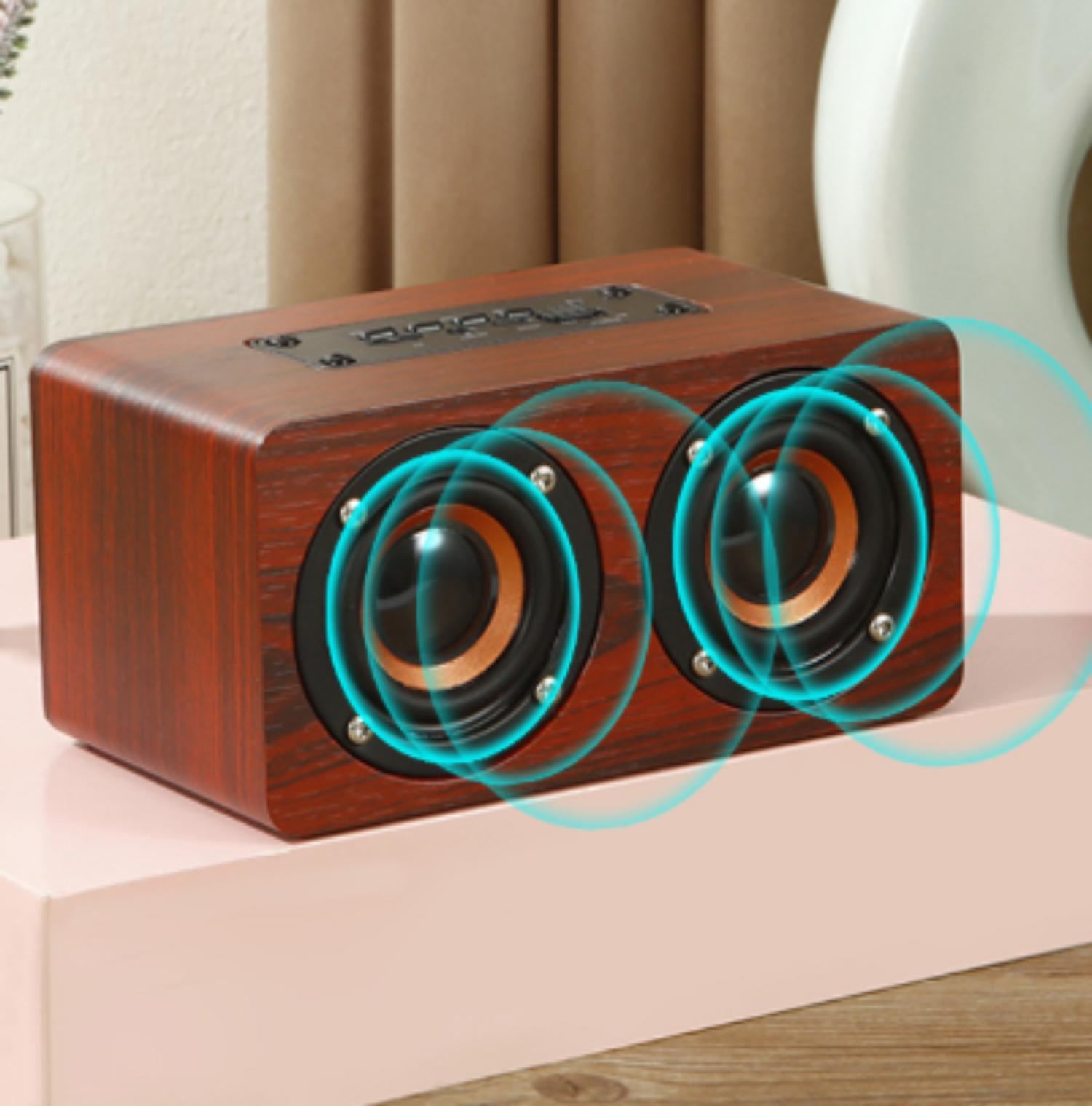 Ein Holz-Lautsprecher mit zwei sichtbaren Lautsprechern. Die Lautsprecher haben kreisförmige türkisfarbene Schallwellen-Grafiken.
