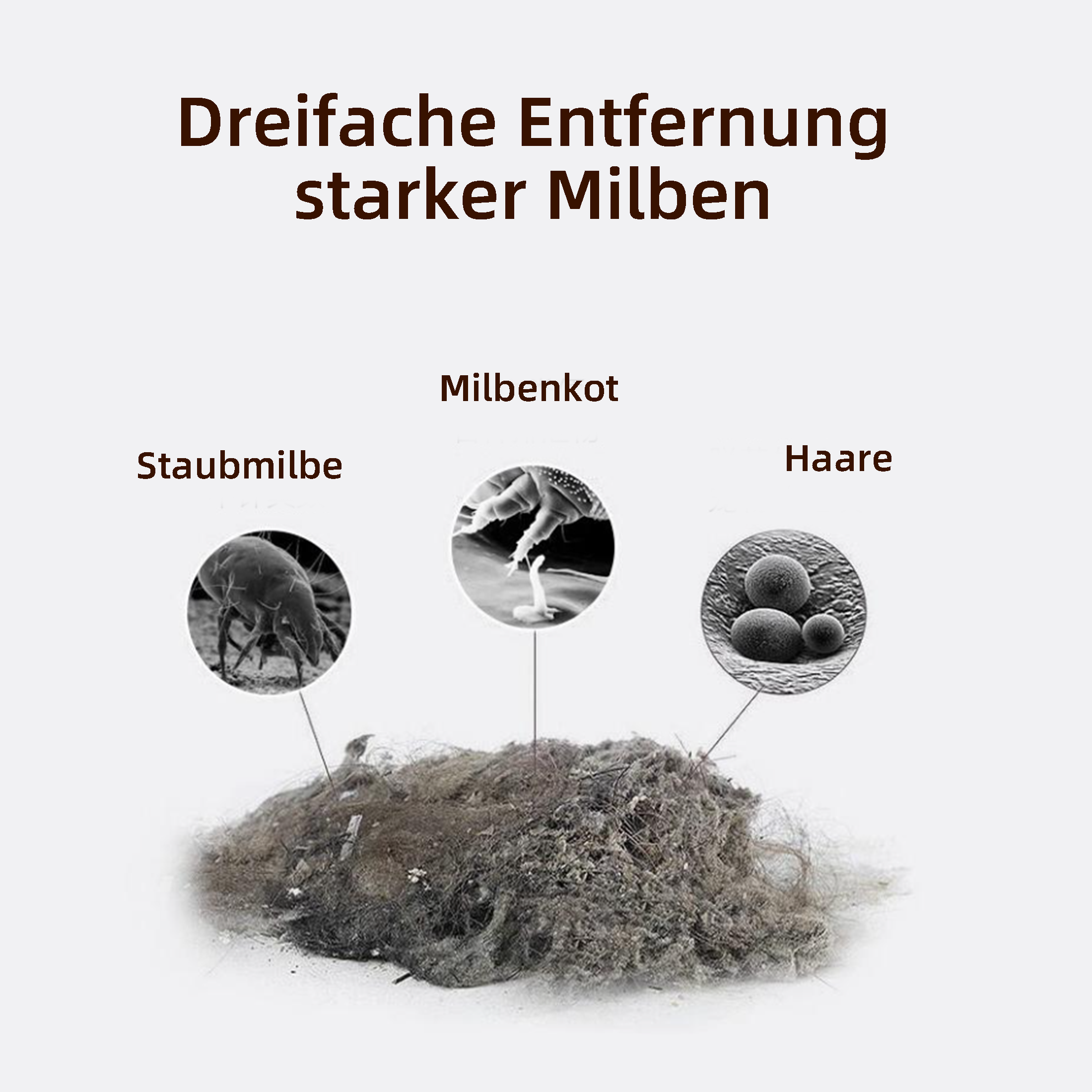 Das Bild zeigt Hausstaubmilben, Kot von Hausstaubmilben und Haare. Text sagt: dreifache Entfernung starker Milben.