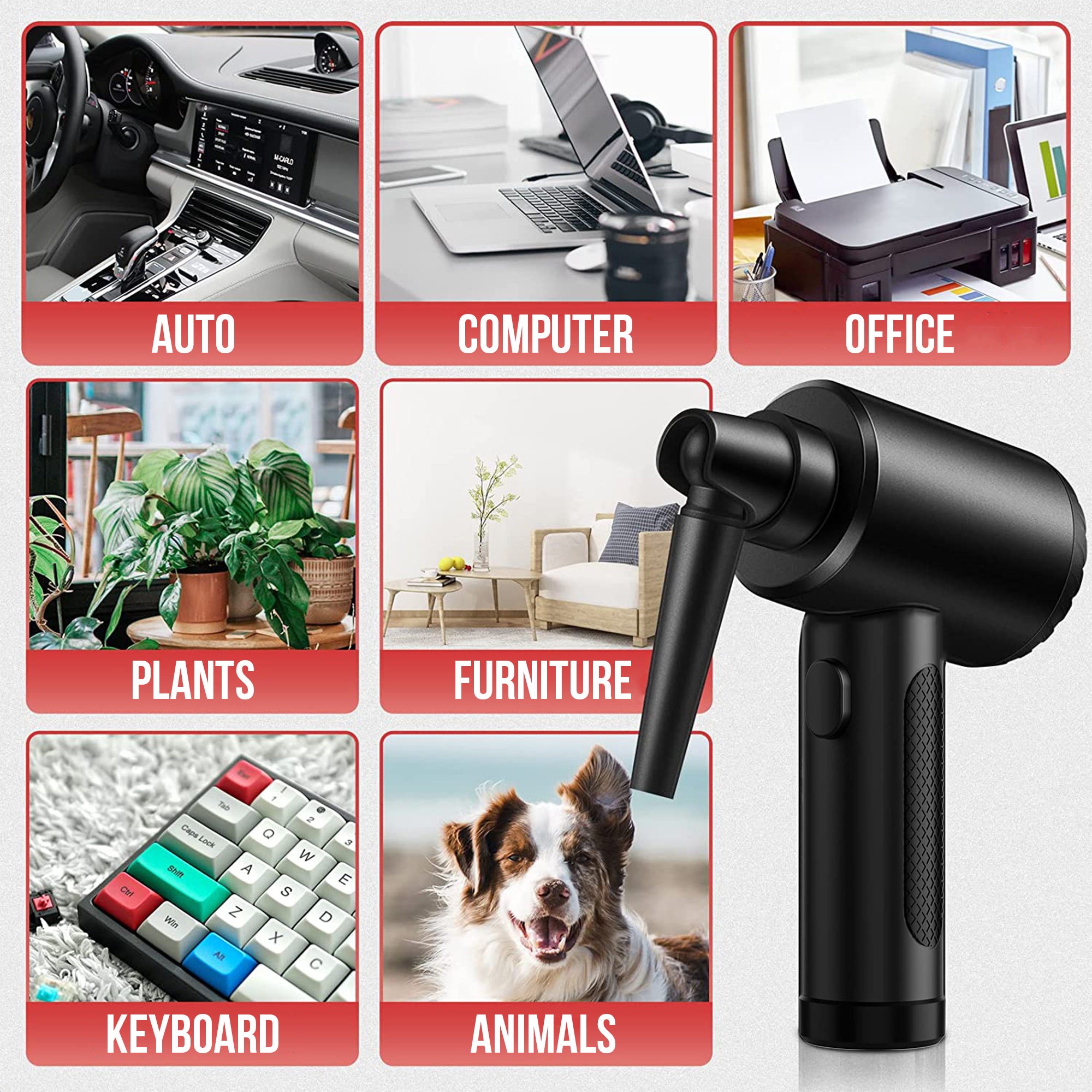 L'image est un collage avec différentes catégories : auto, ordinateur, bureau, plantes, meubles, clavier et animaux.