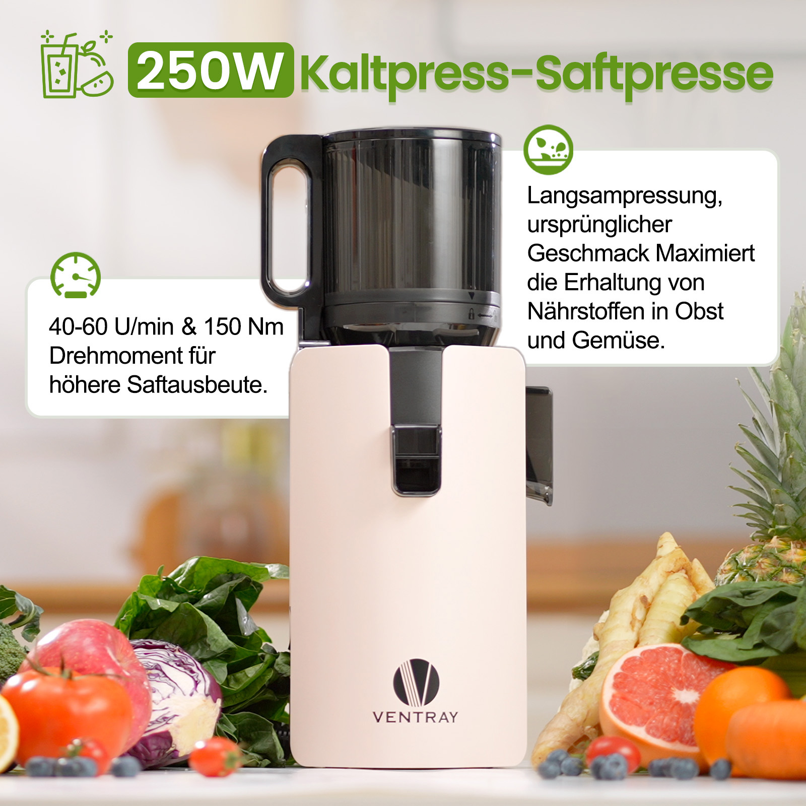 Un estrattore di succo con testo: 250W, Kaltpress-Saftpresse. Frutta e verdura in primo piano.