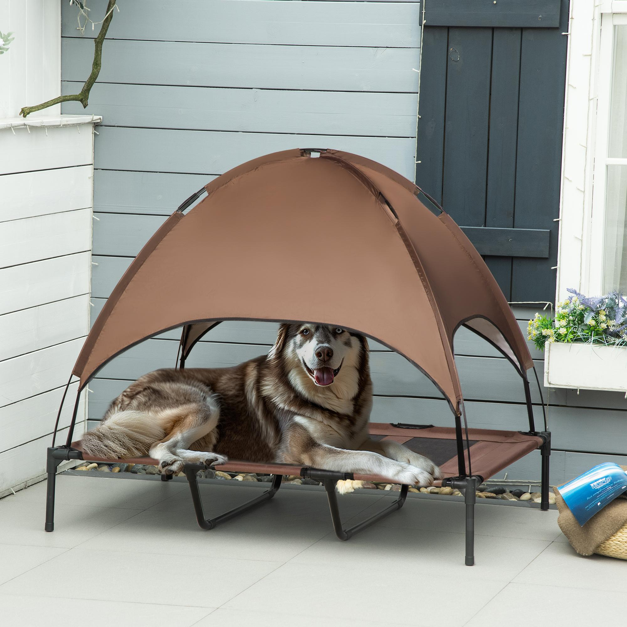 Ein Hund ruht auf einem Bett unter einem Baldachin. Der Hund ist braun und weiß, mit blauen Augen. Der Hintergrund ist ein Haus.