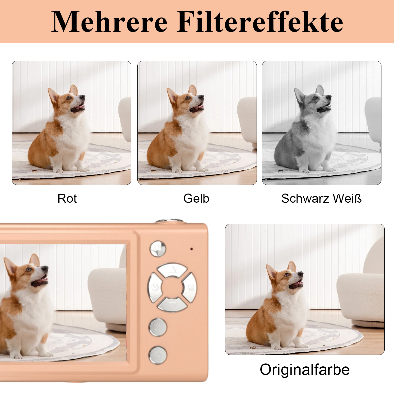 Das Bild zeigt einen Corgi-Hund in verschiedenen Farbfiltern: rot, gelb, schwarz-weiß und Originalfarbe. Links ist eine Kamera.