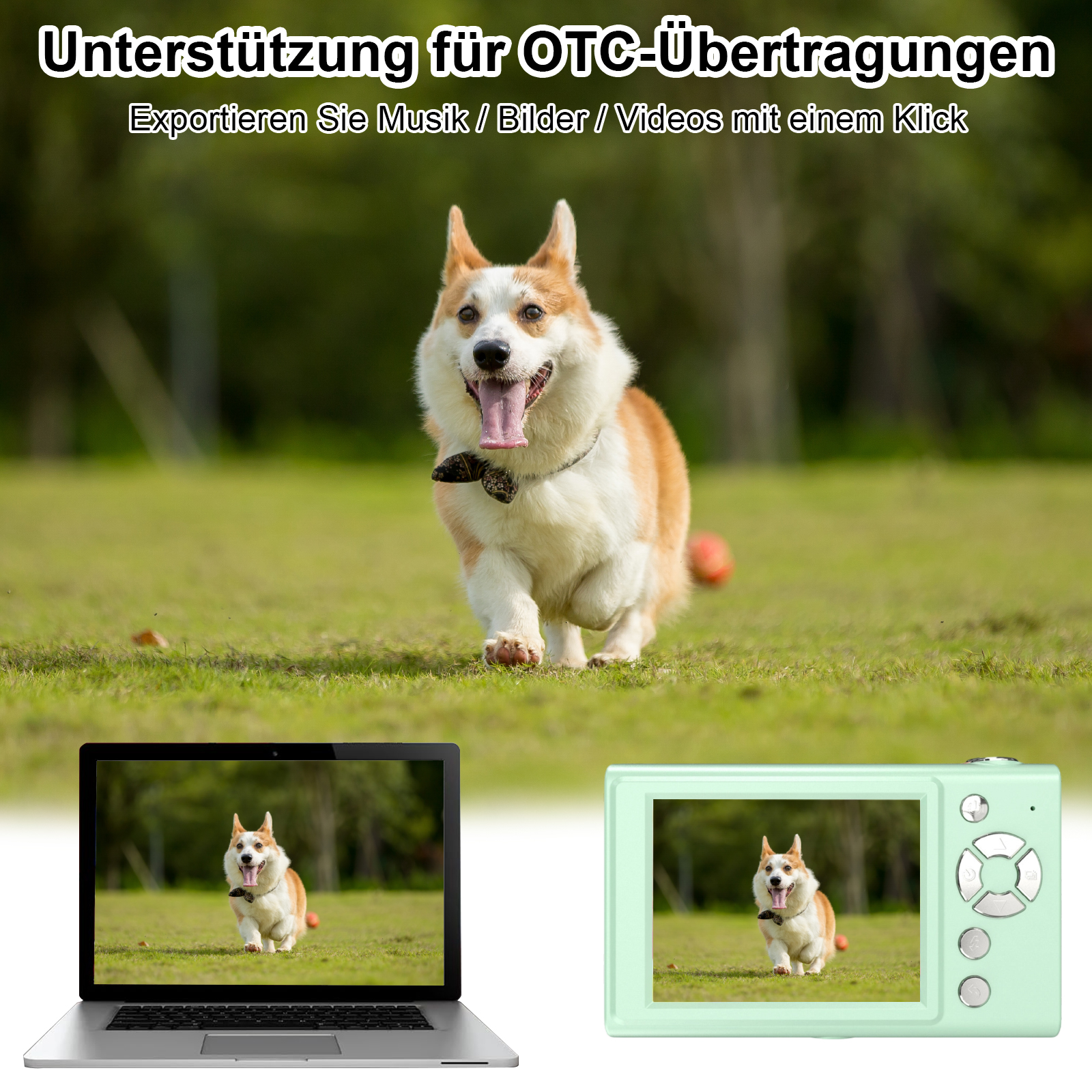 Ein Corgi-Hund rennt auf Gras und trägt eine Fliege. Ein Laptop und eine Kamera zeigen dasselbe Bild.