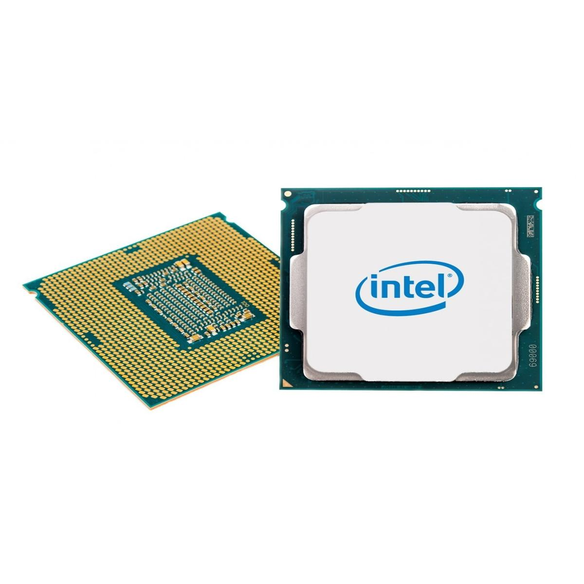 Vengono mostrati due processori per computer. Uno è dorato con pin, l'altro ha il logo Intel.