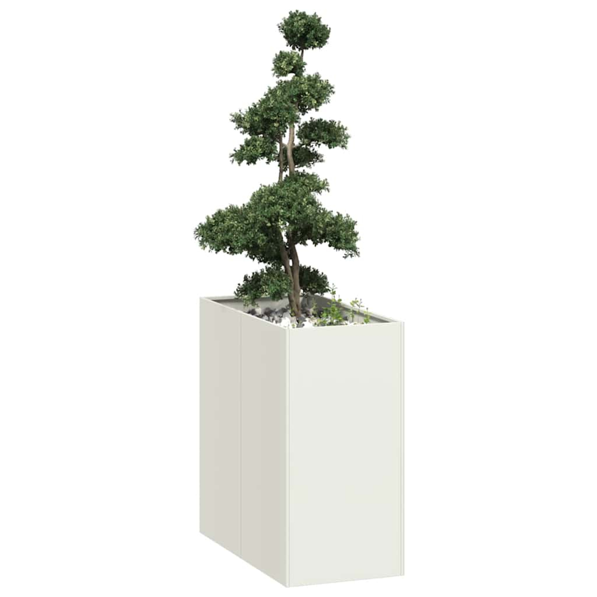 Un'alta fioriera rettangolare bianco sporco contiene un piccolo albero stilizzato con fogliame verde. Sono visibili ciottoli bianchi e piccole piante.
